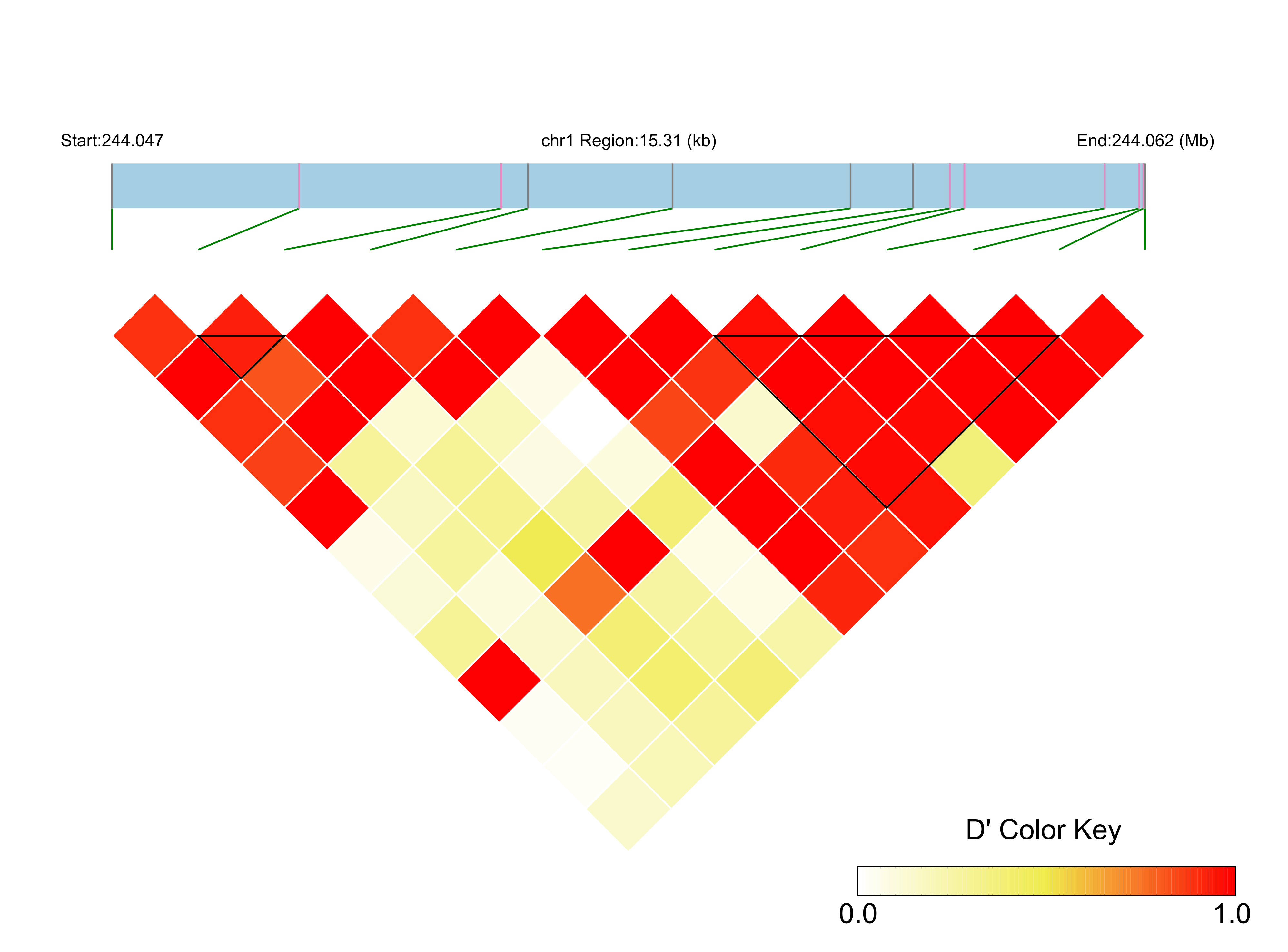 LD