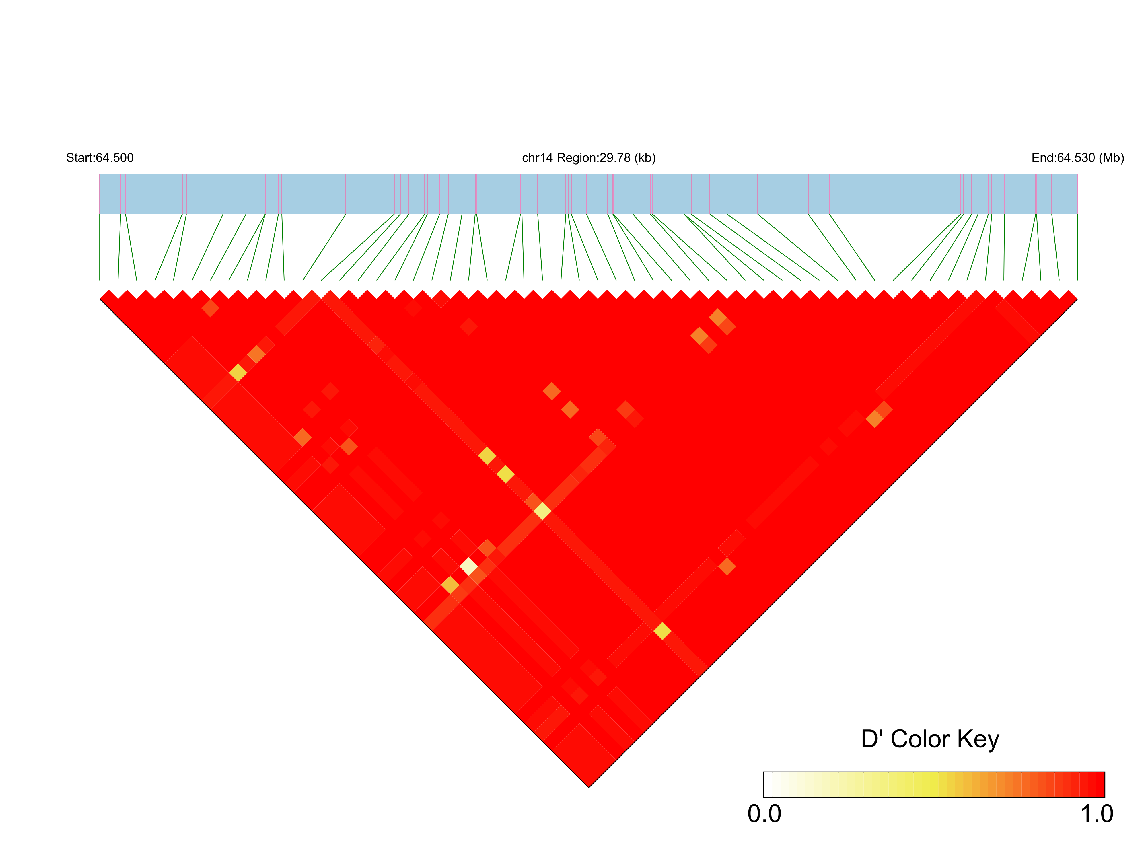 LD