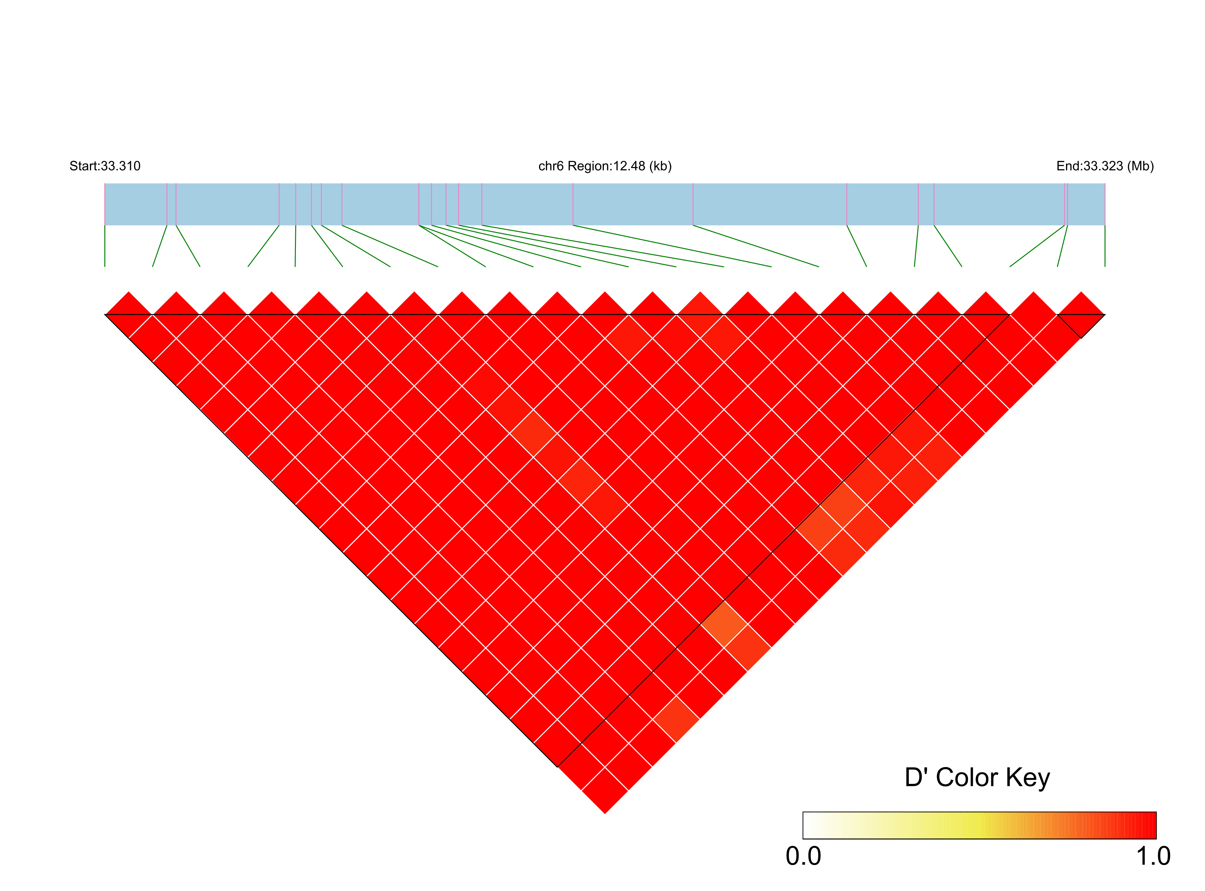 LD
