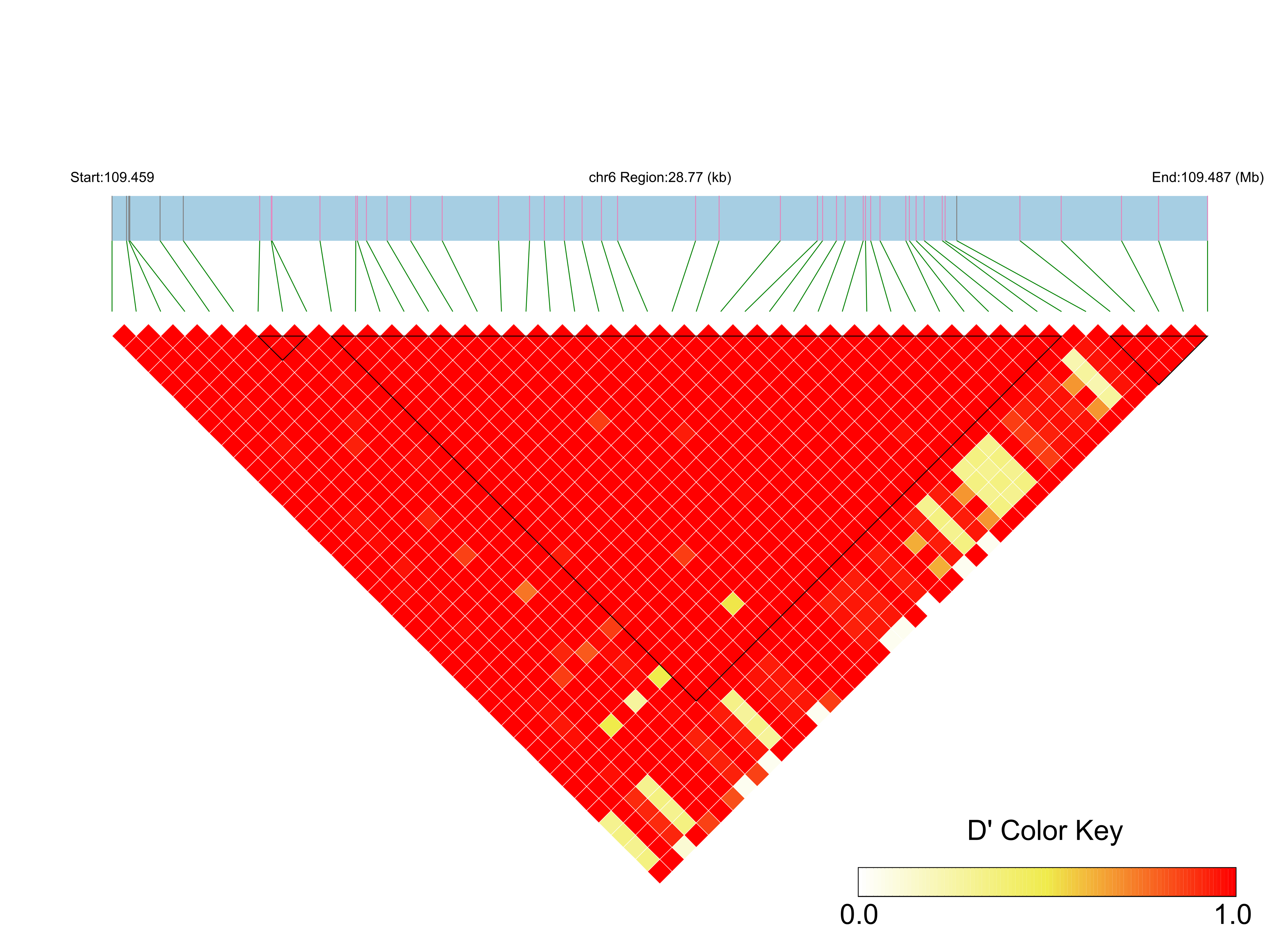 LD