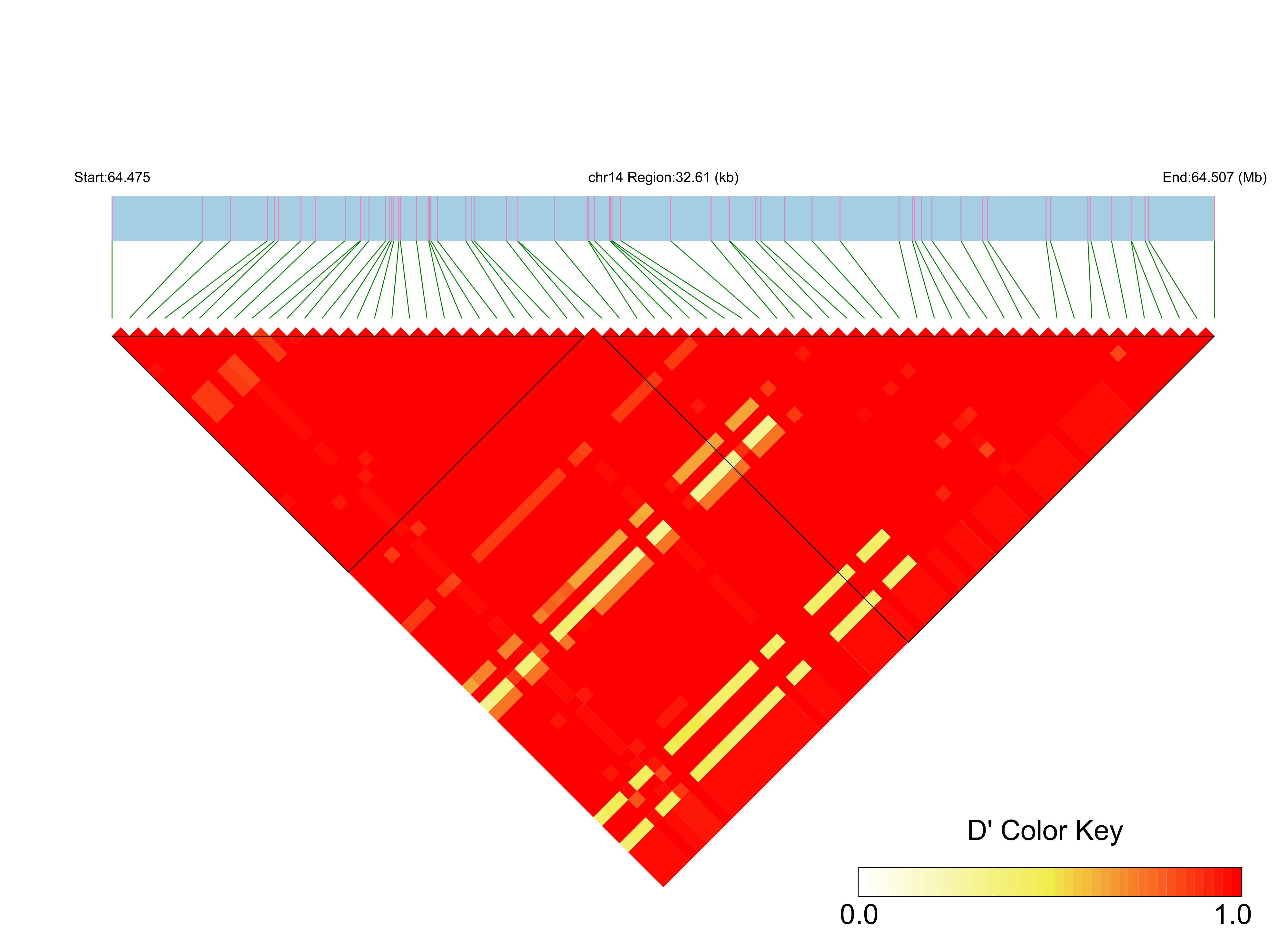 LD