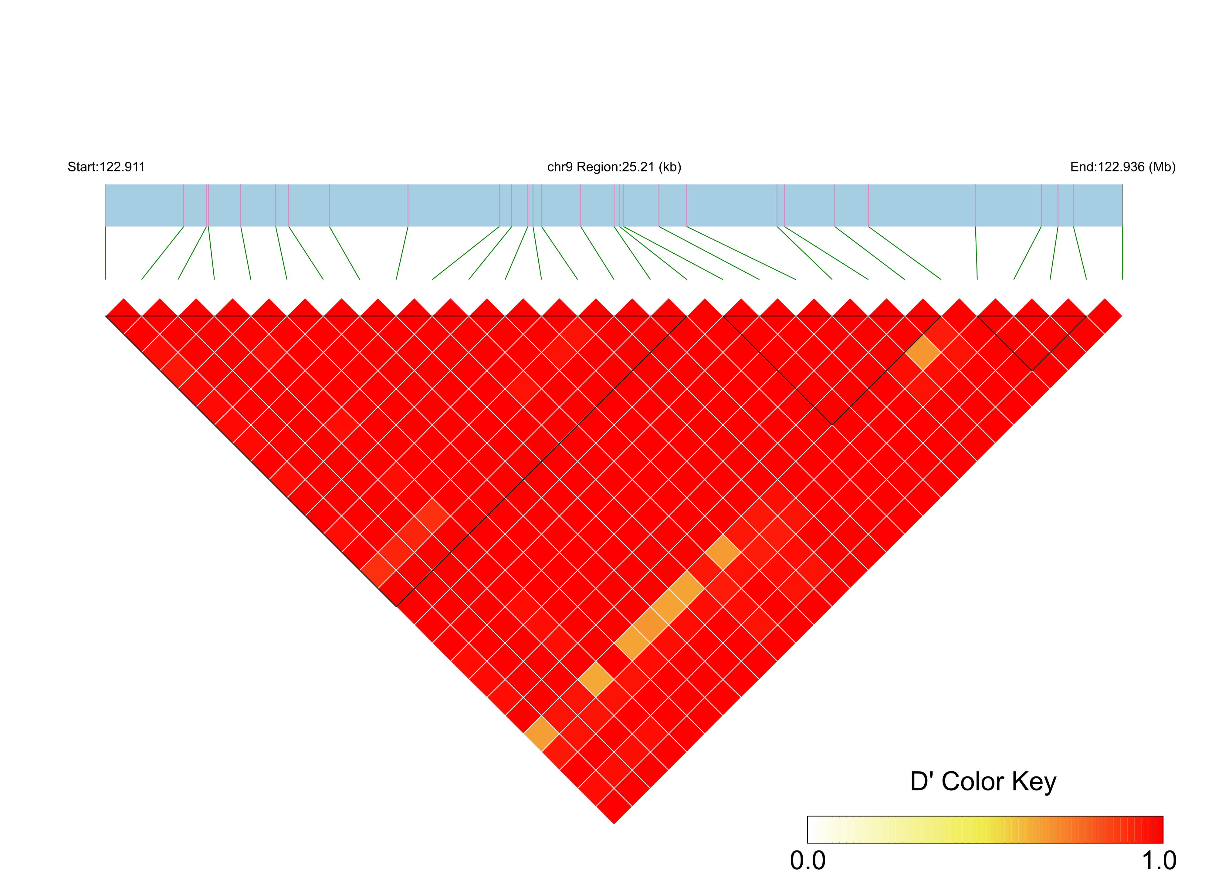 LD