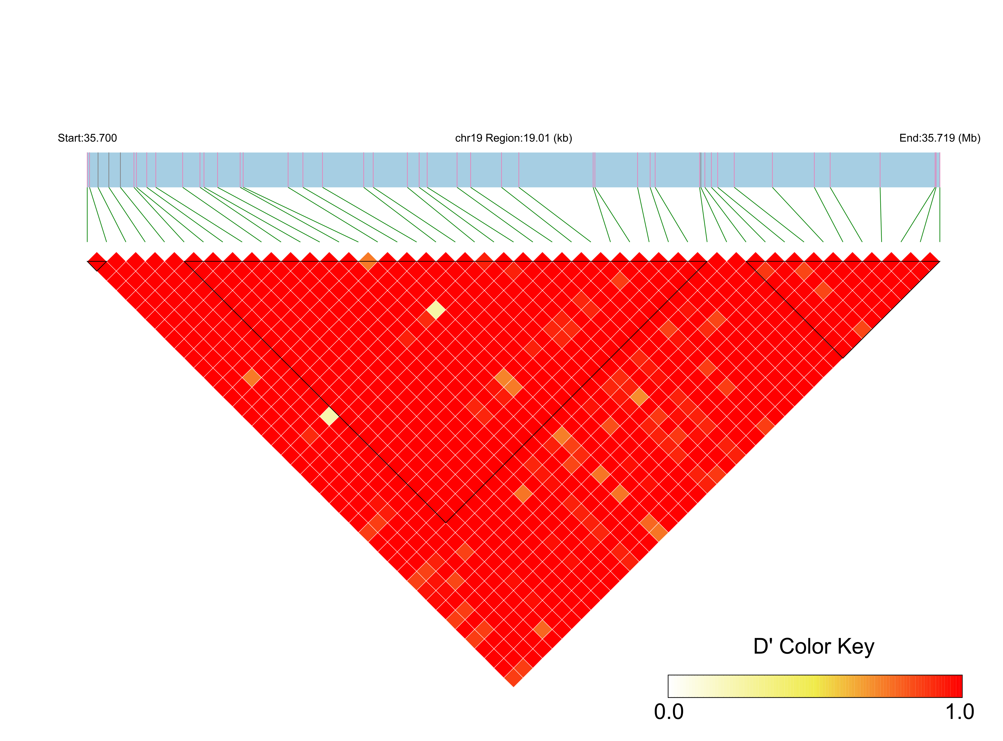 LD