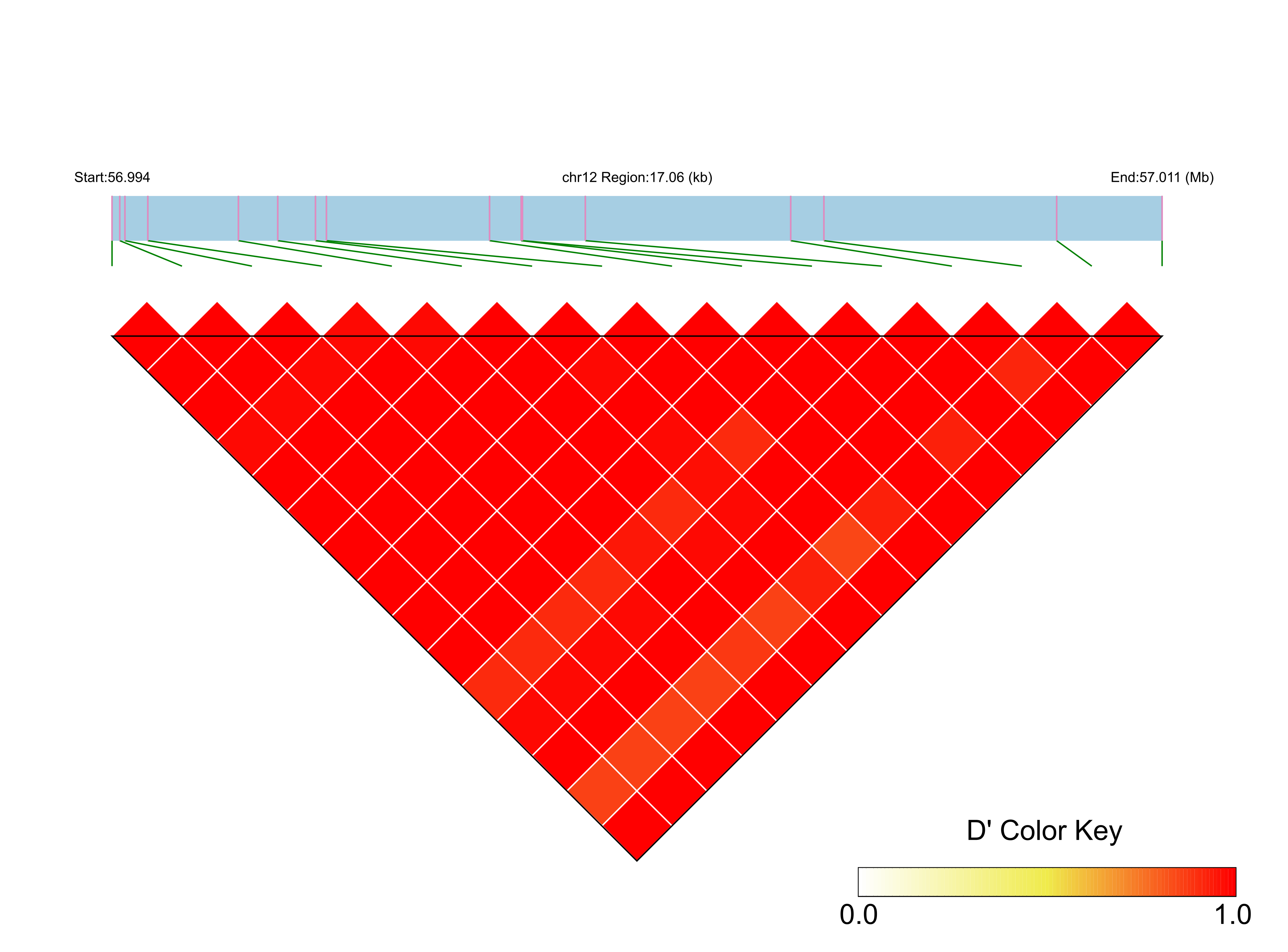 LD