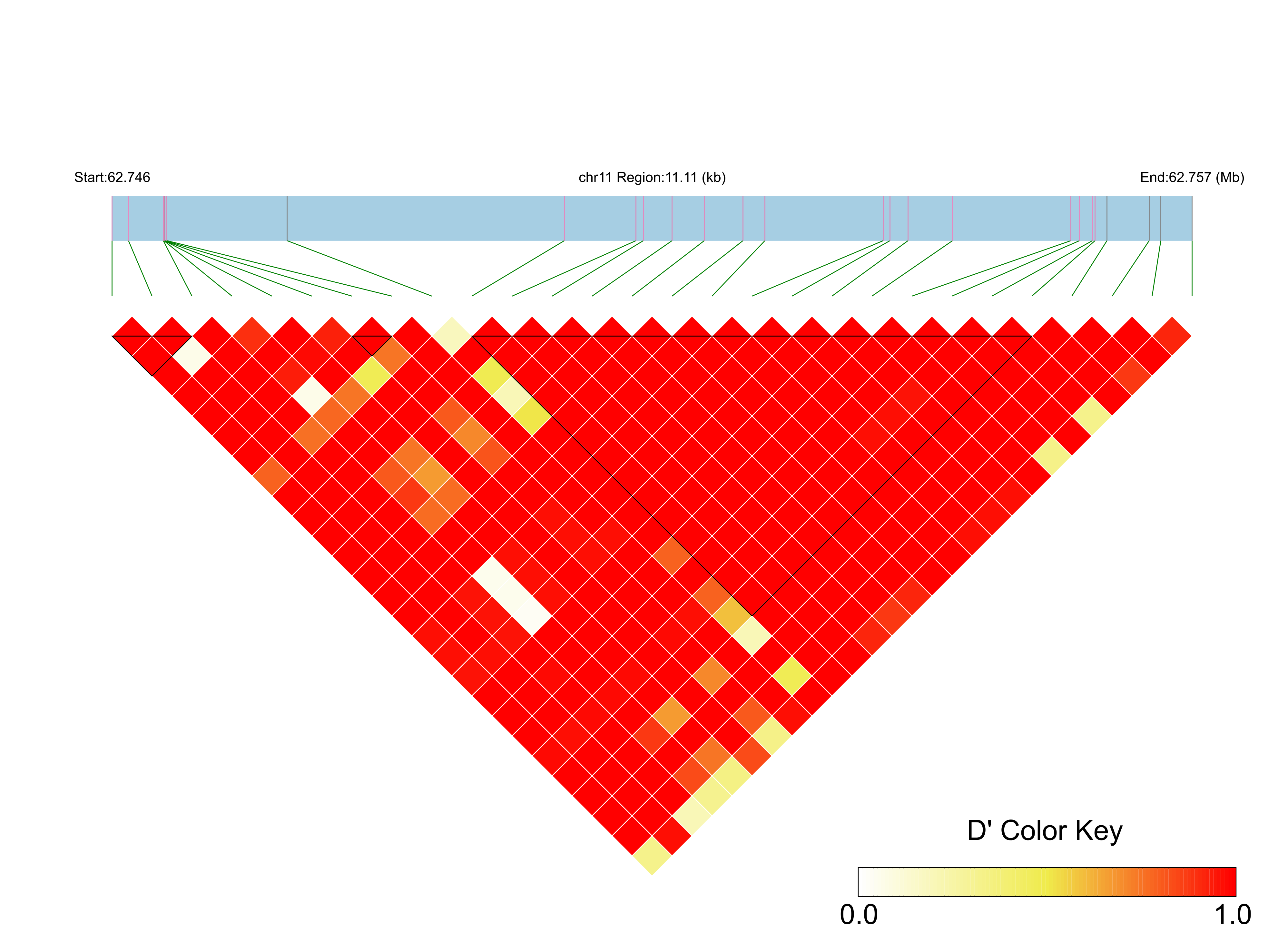 LD