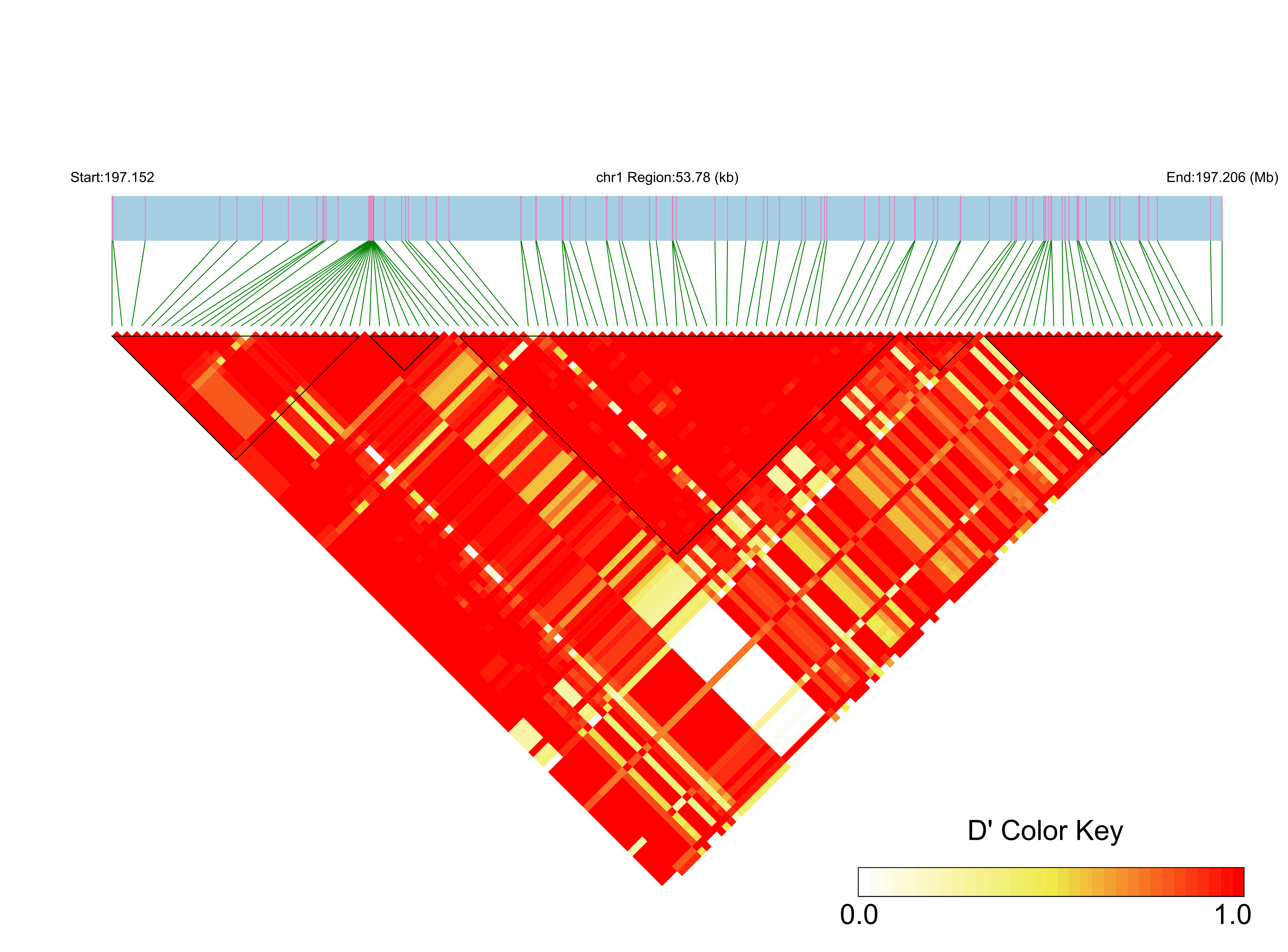 LD
