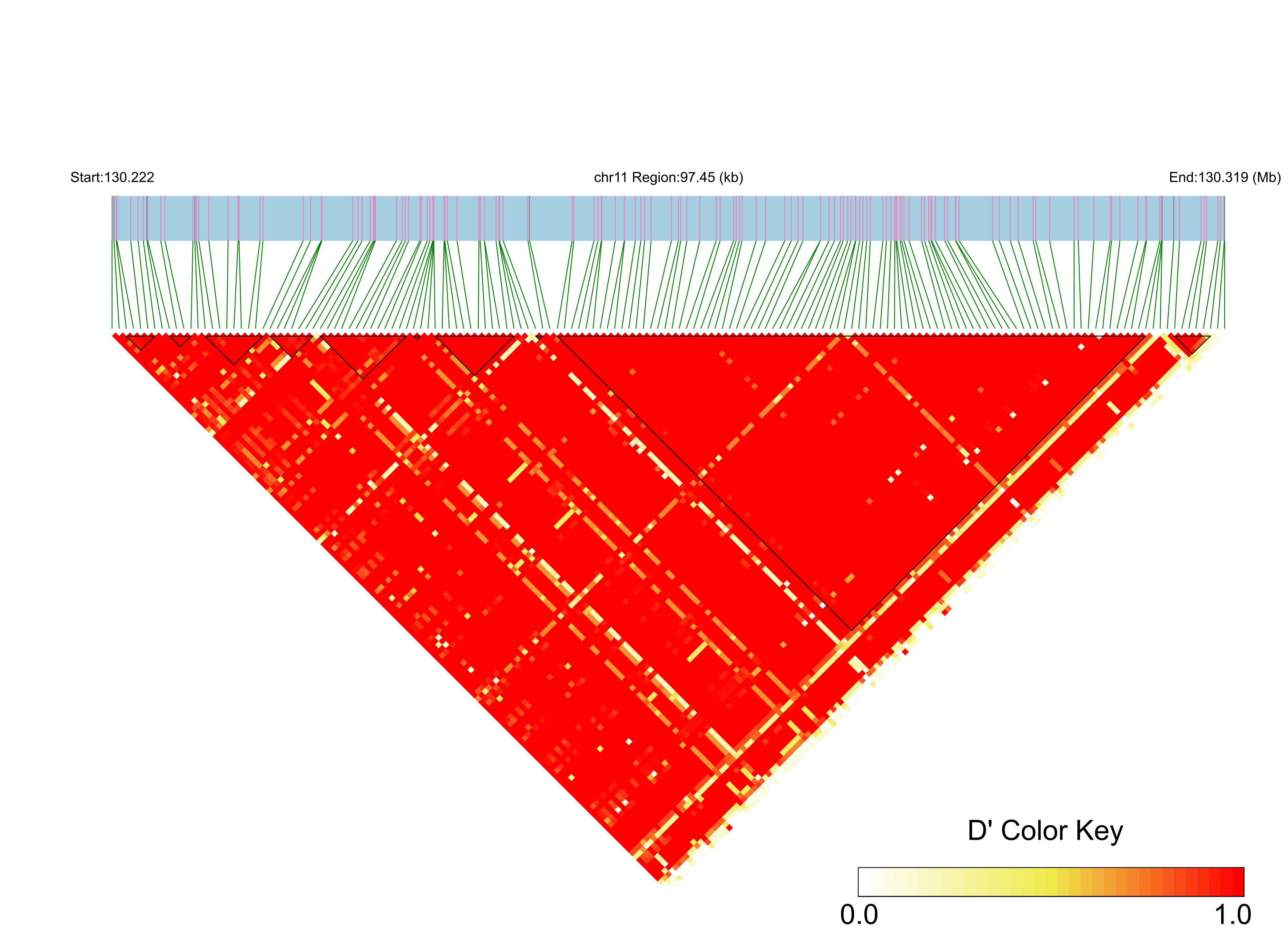 LD