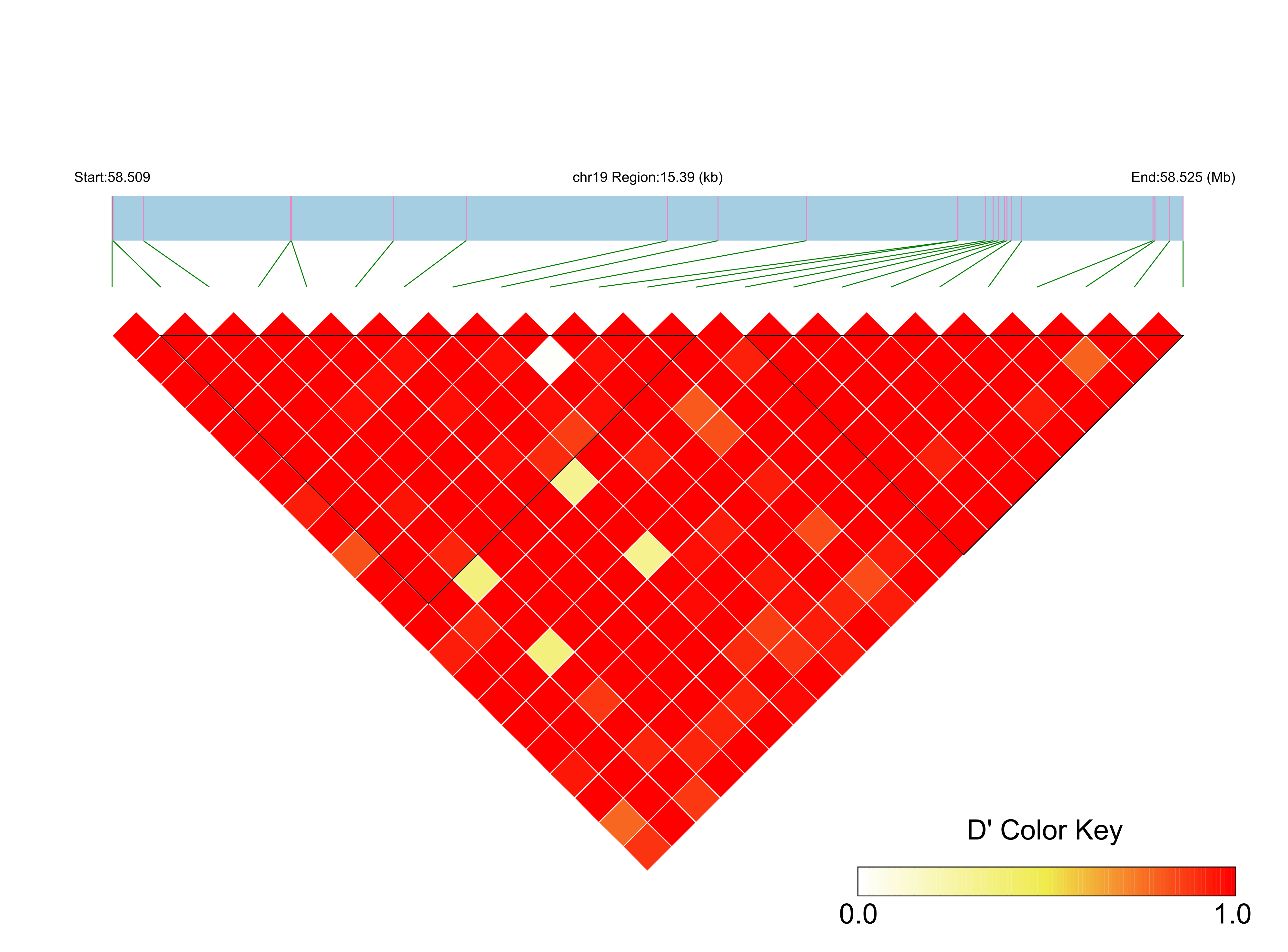 LD