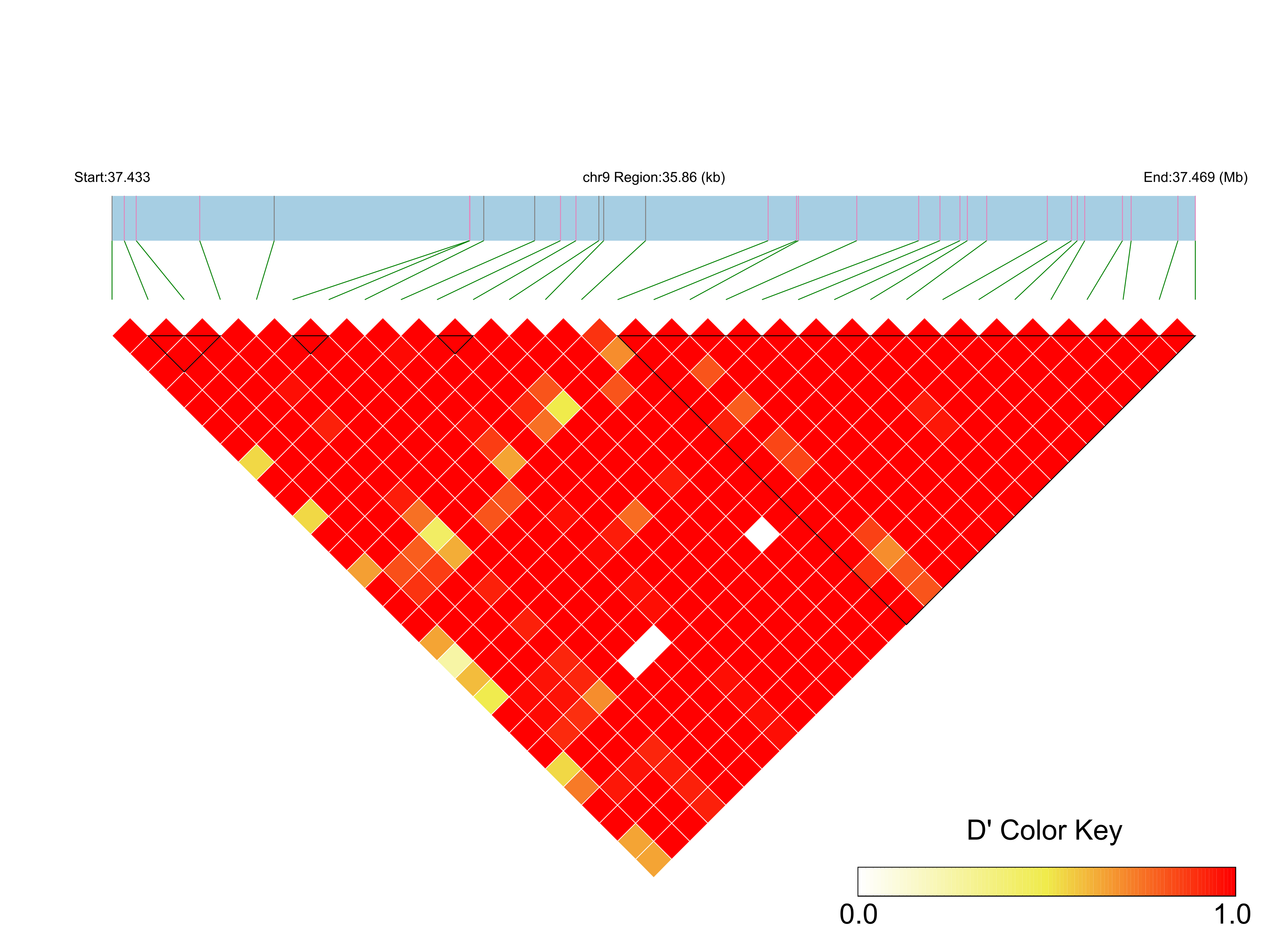 LD