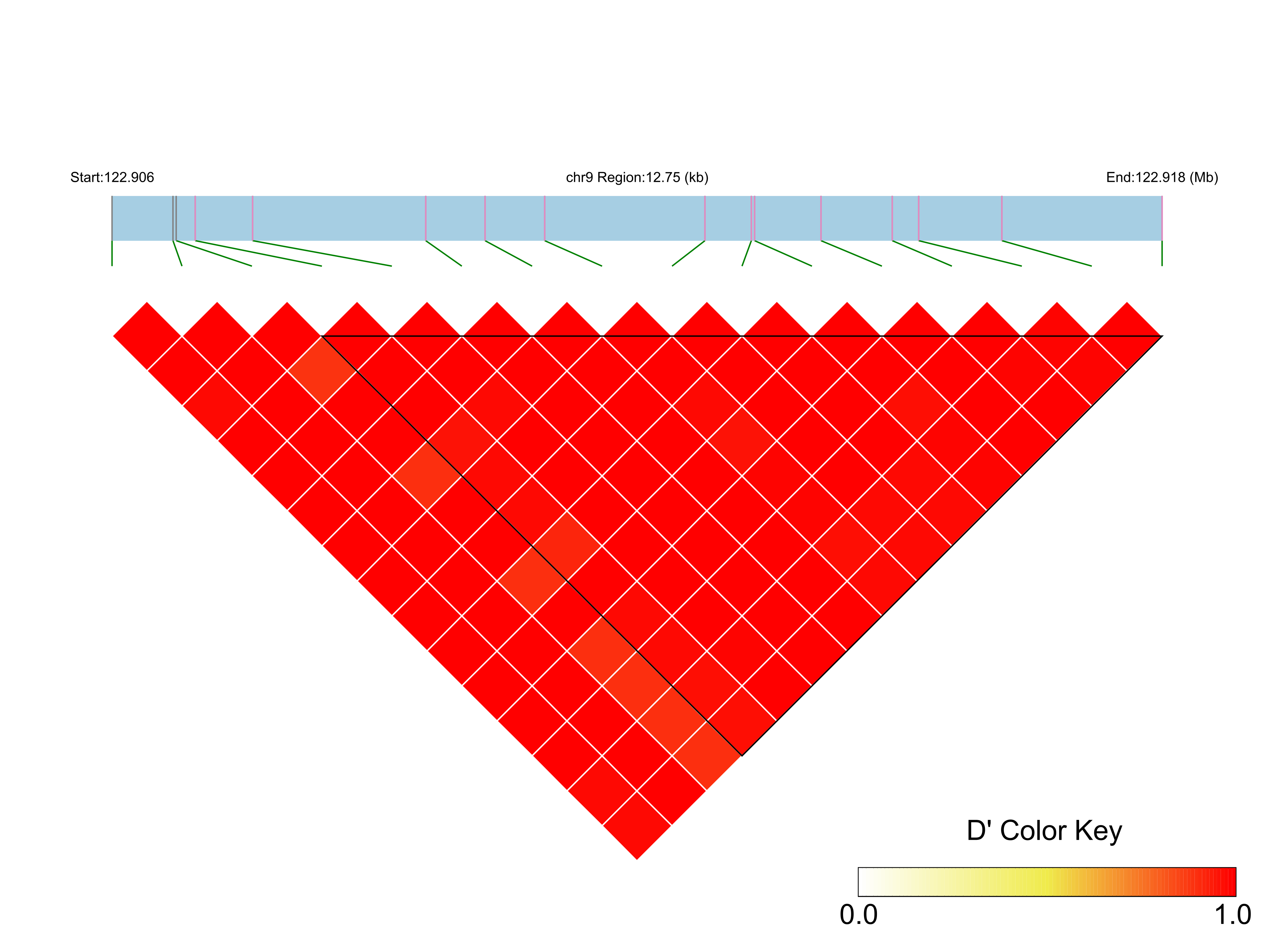 LD