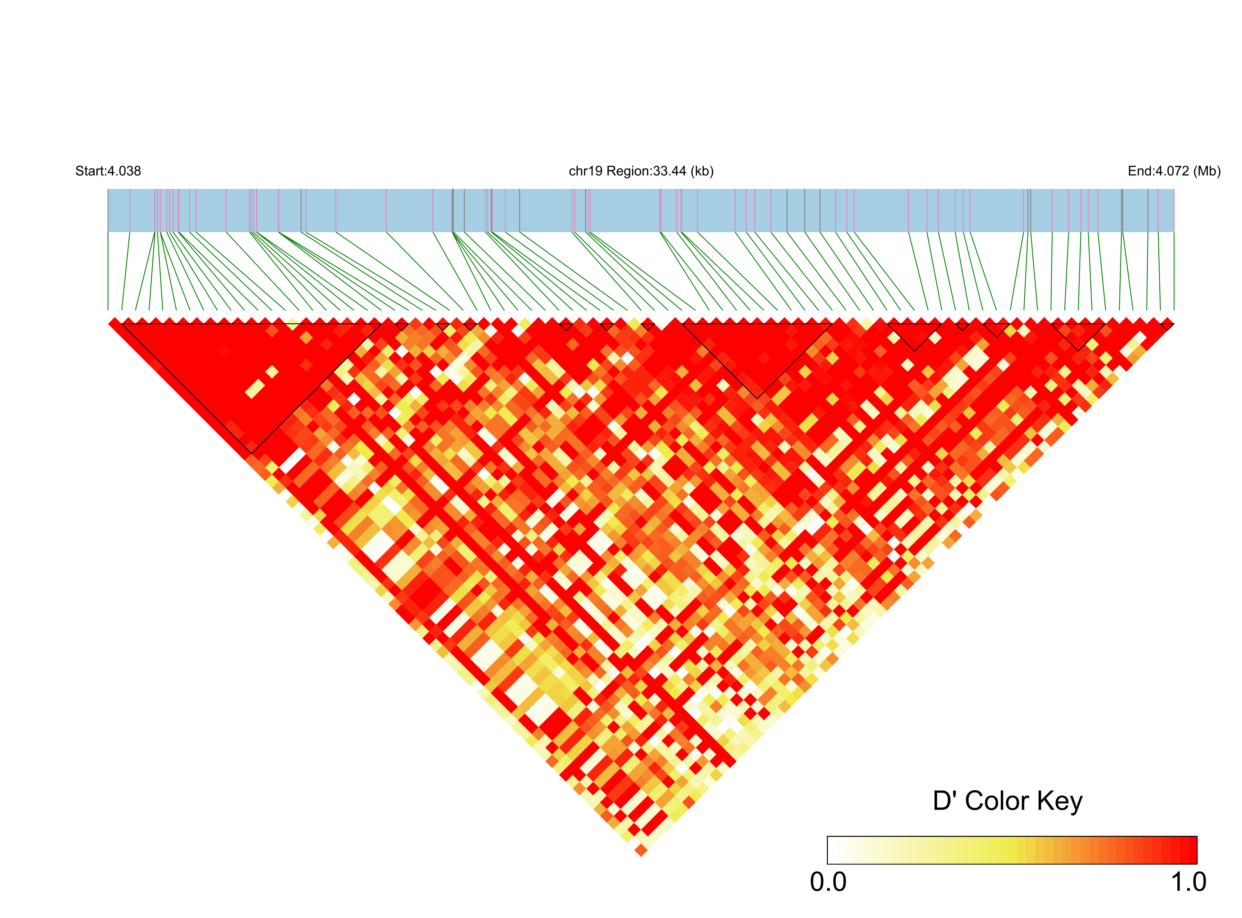 LD