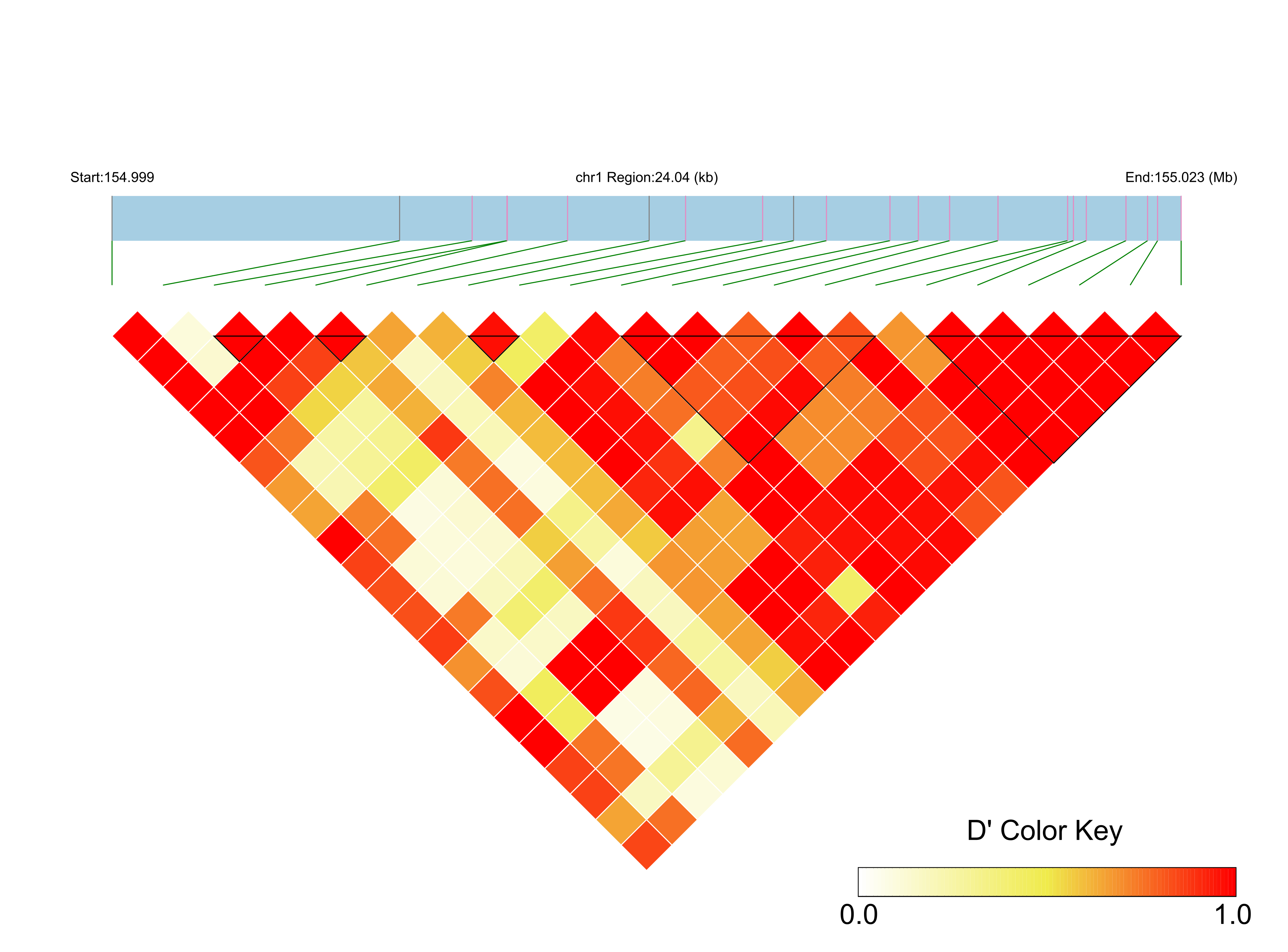 LD