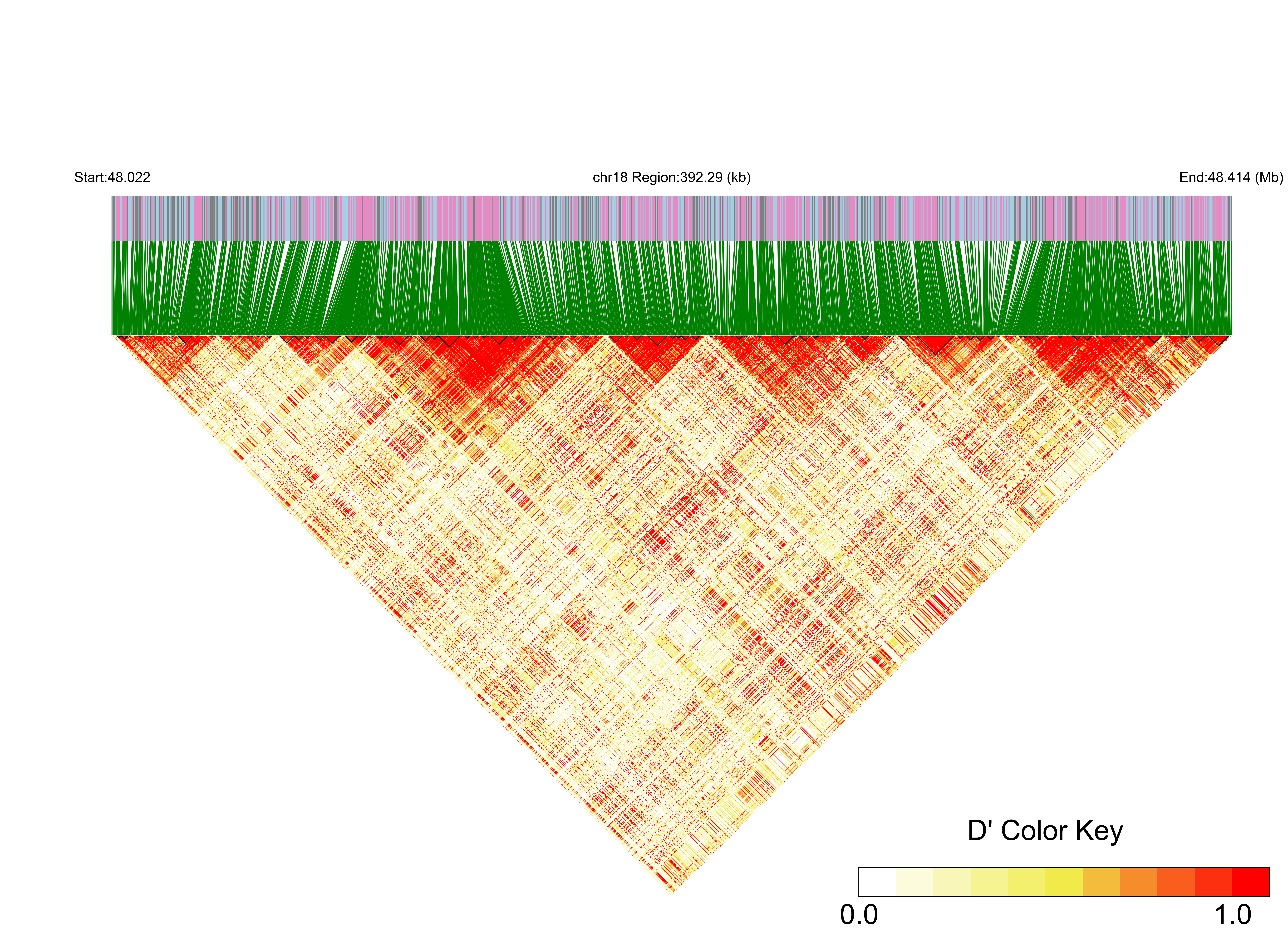 LD