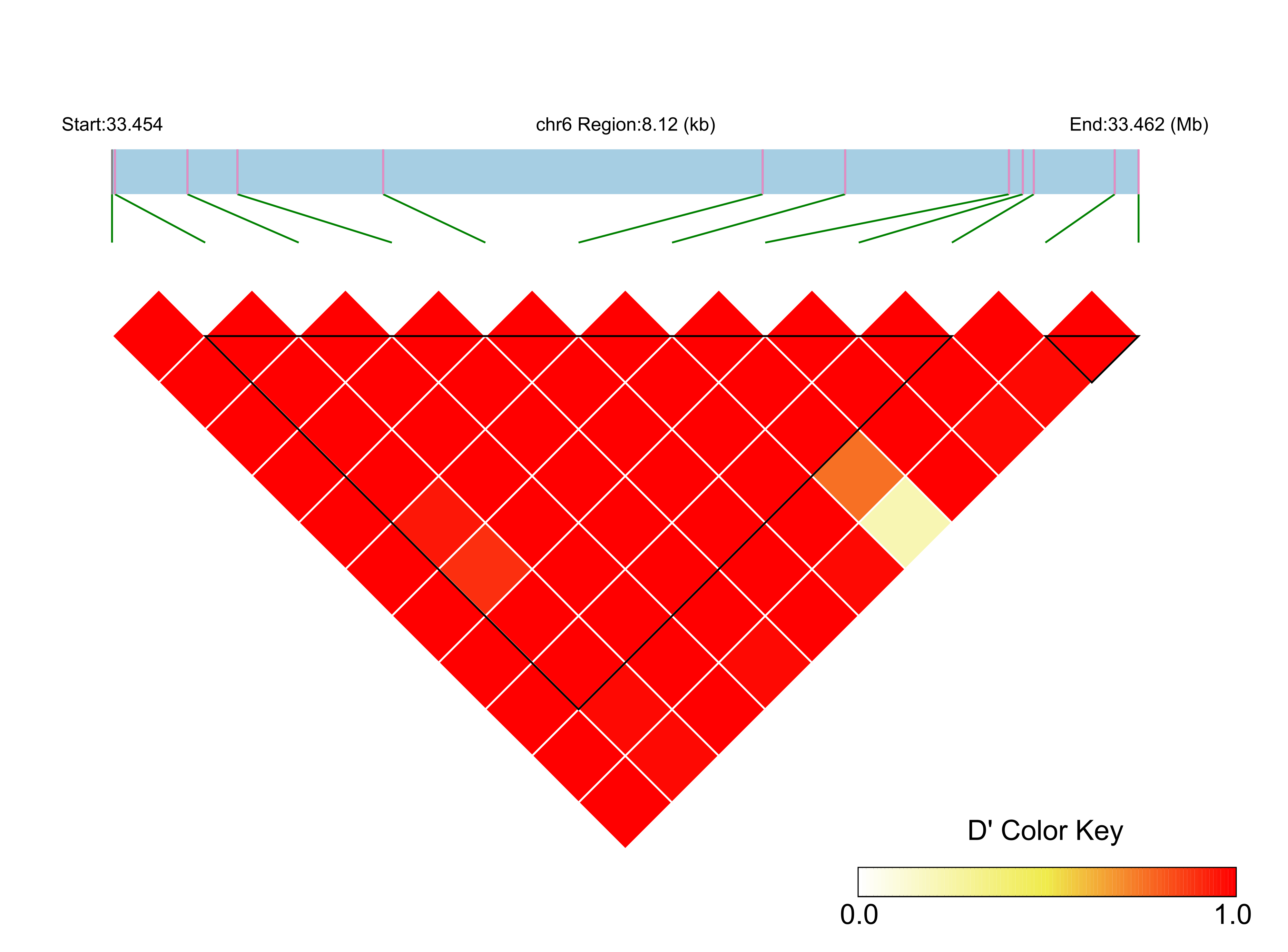 LD