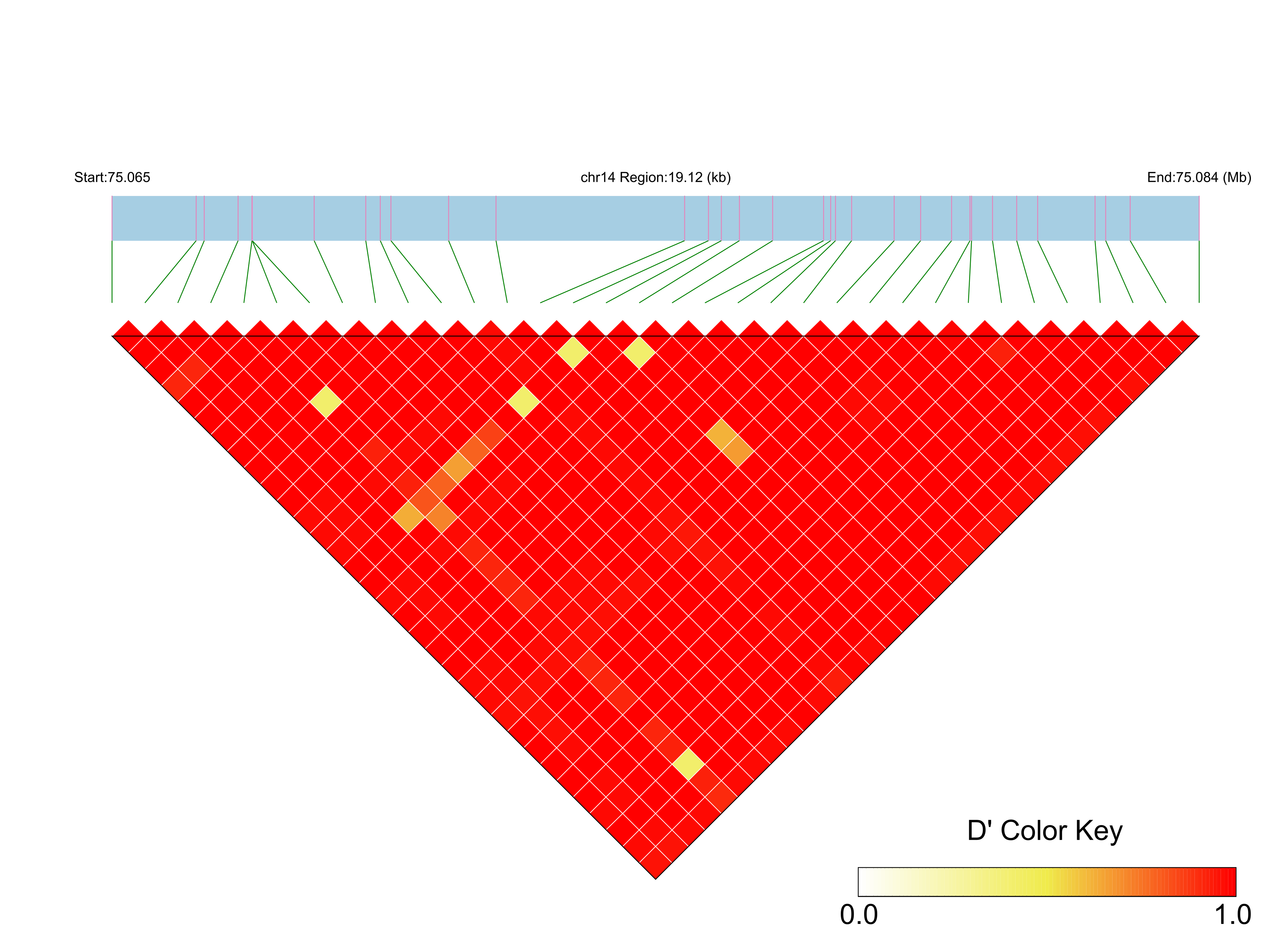 LD