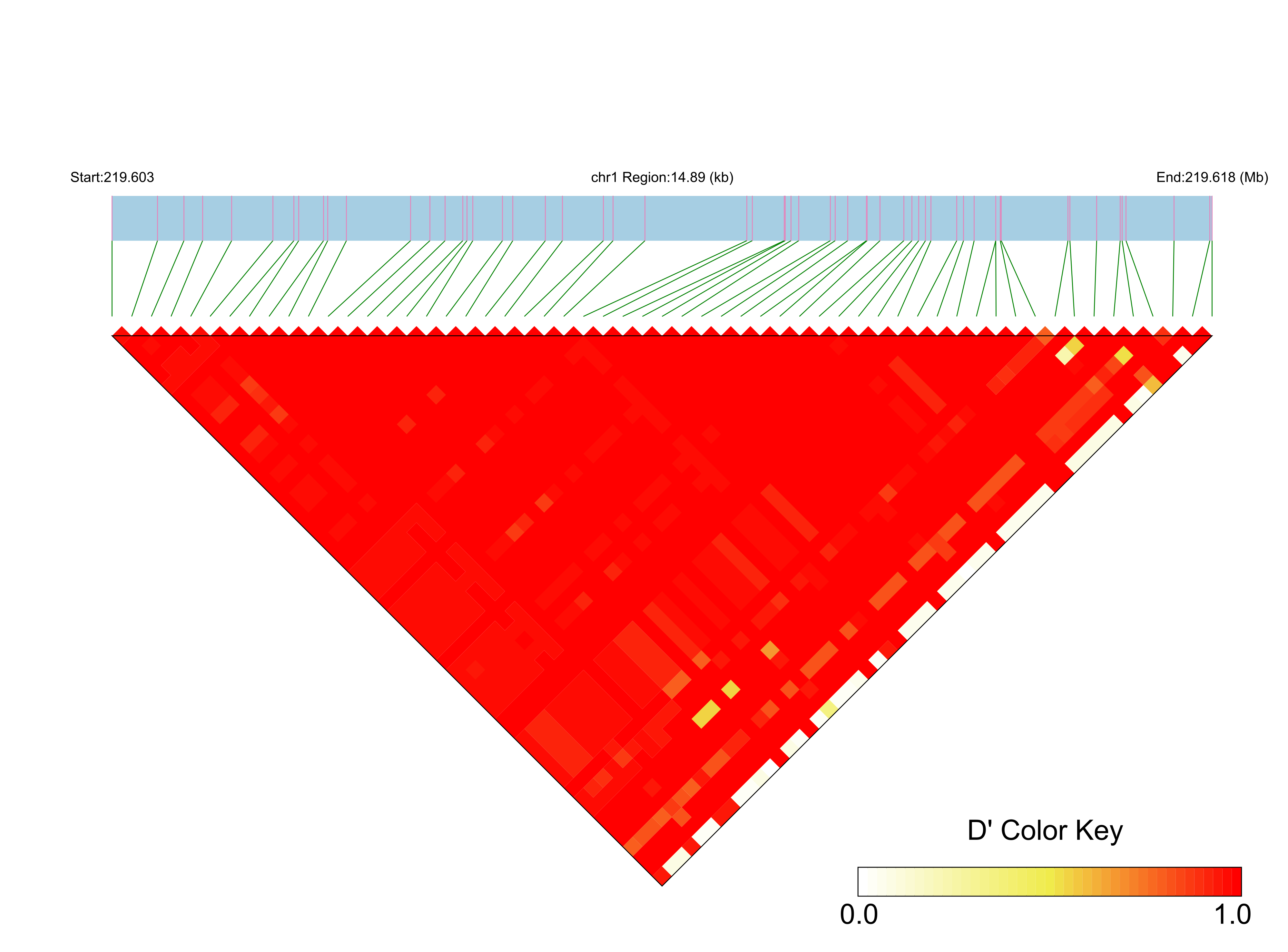 LD