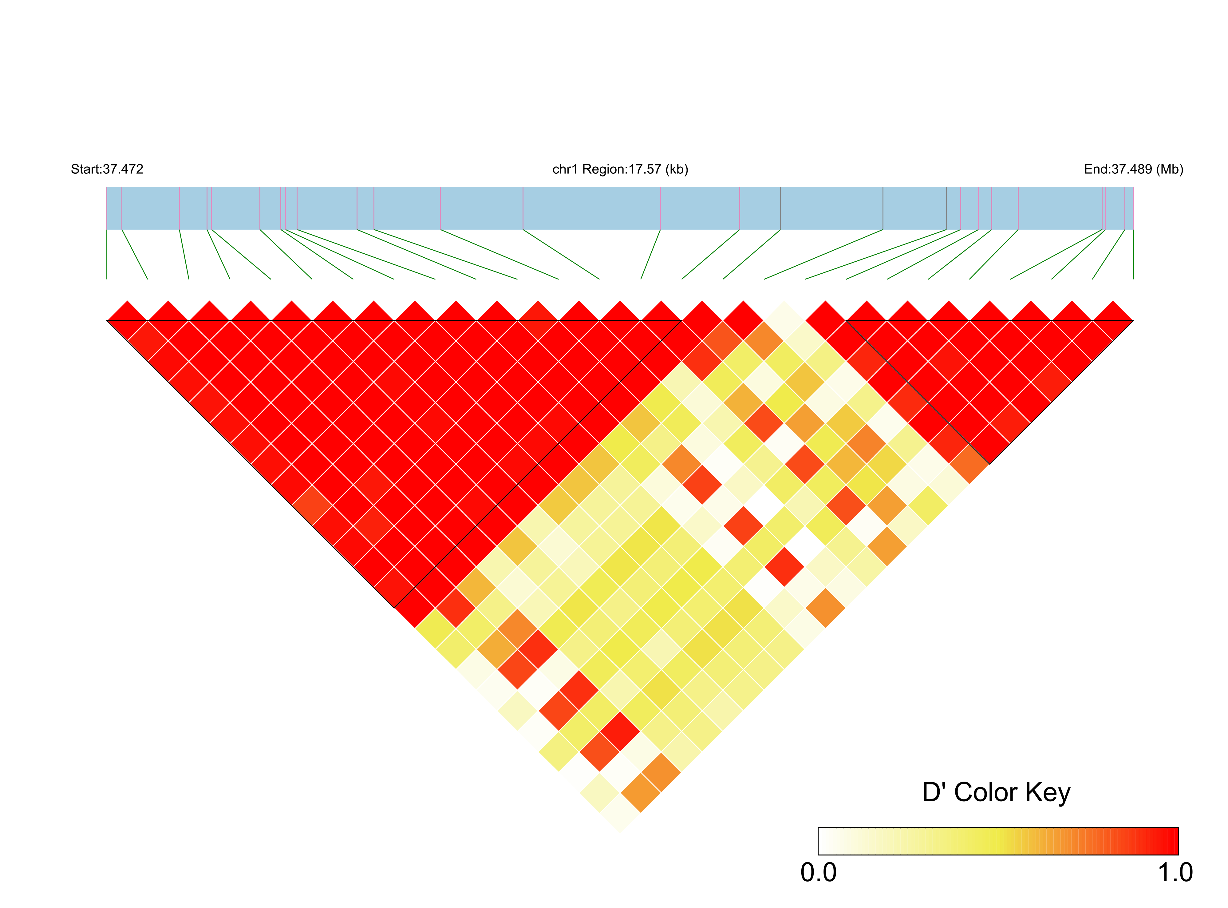 LD