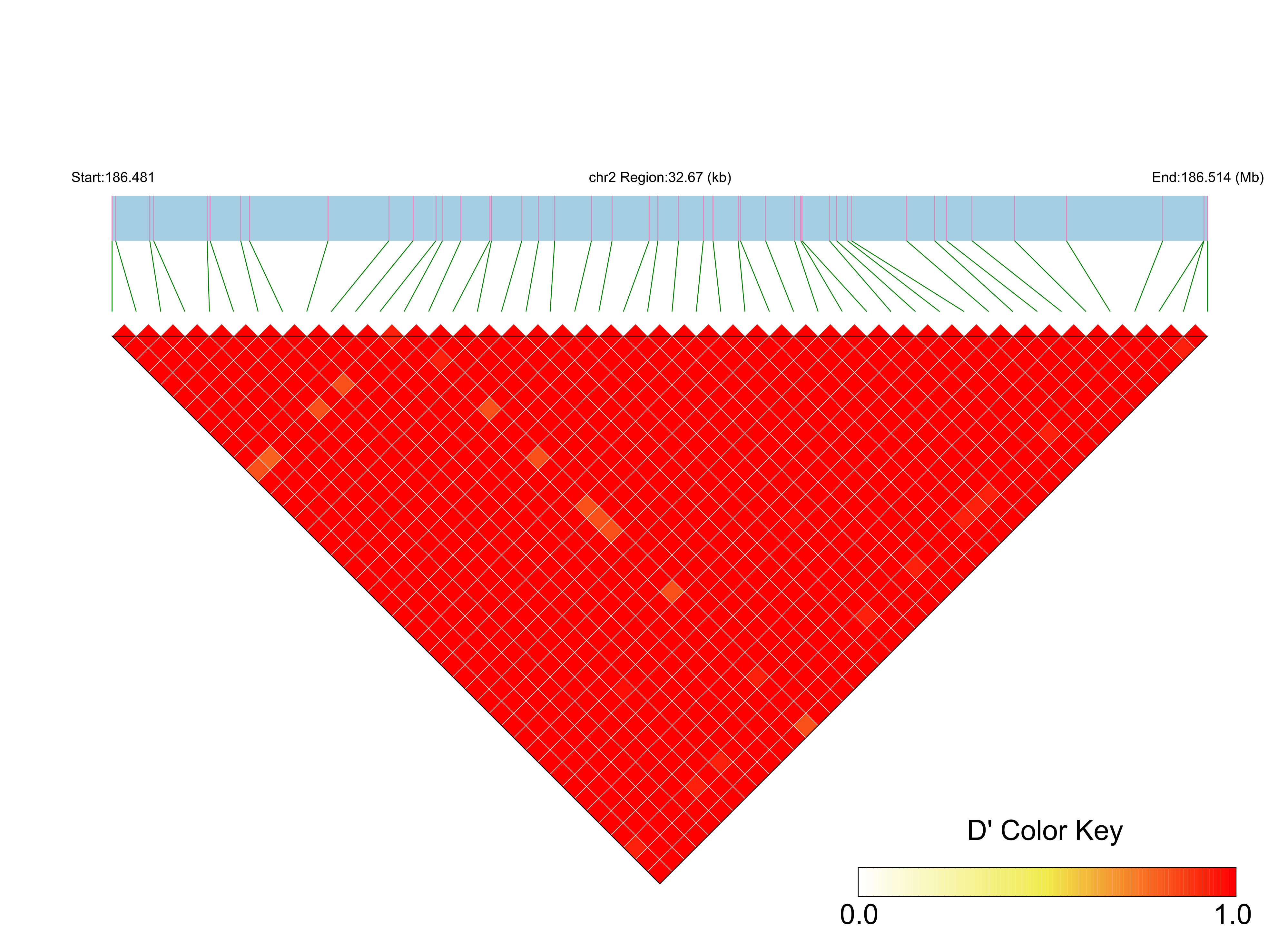 LD