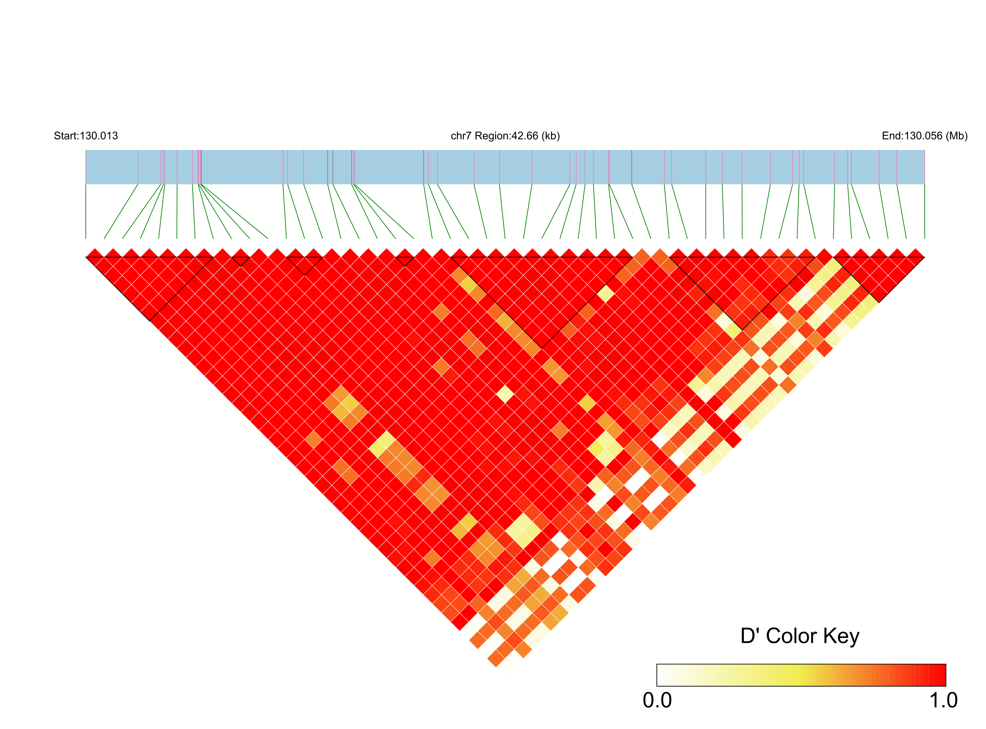 LD