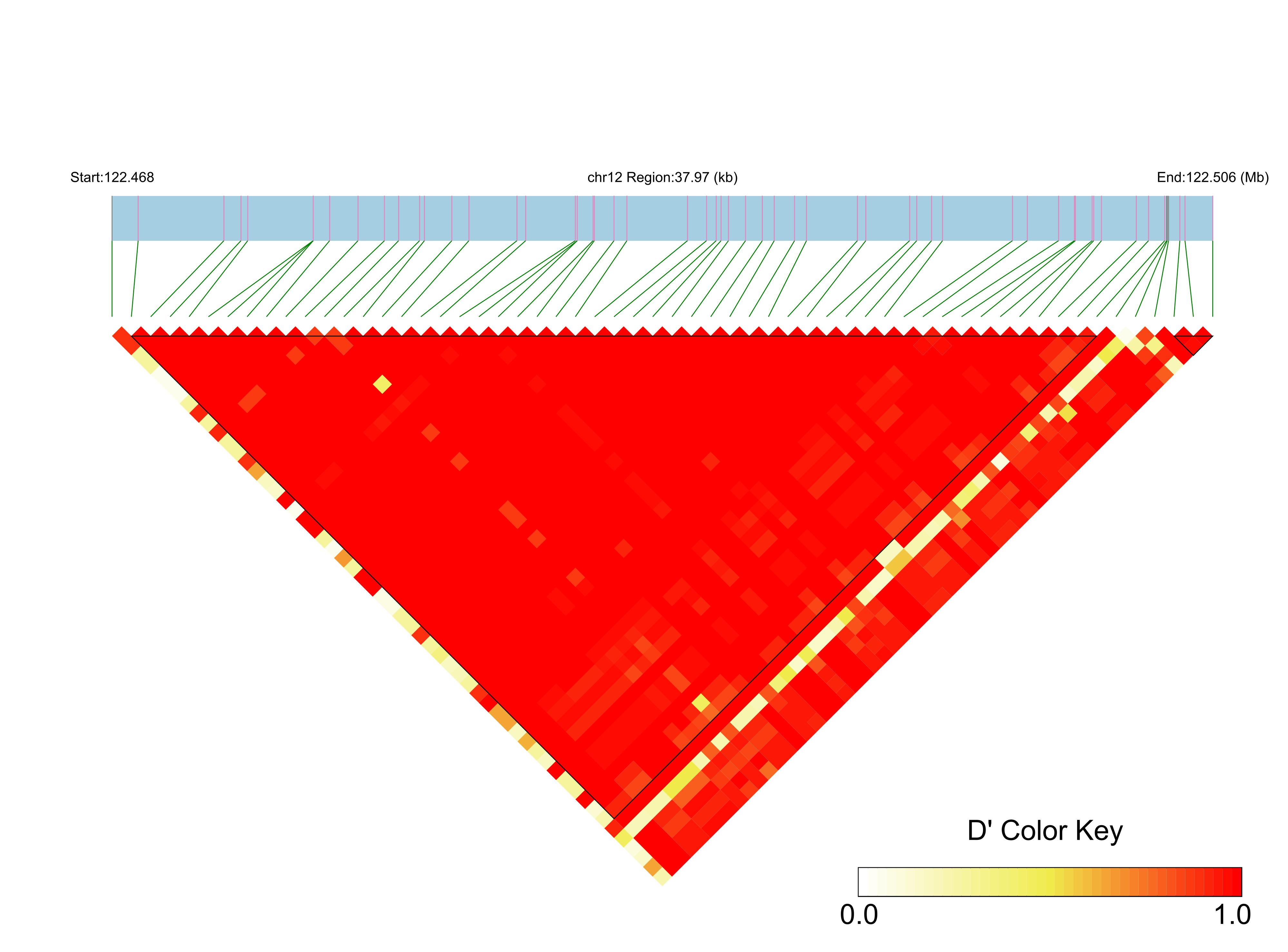 LD