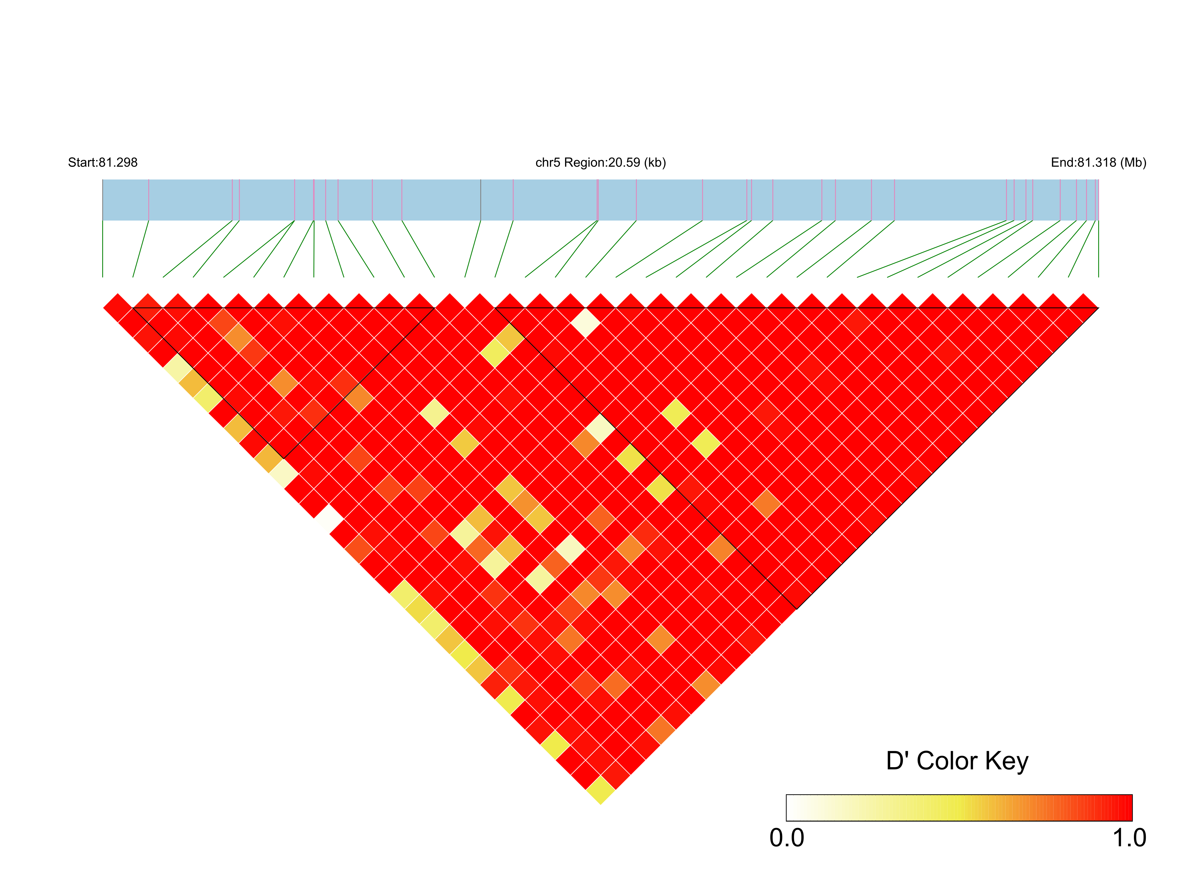 LD