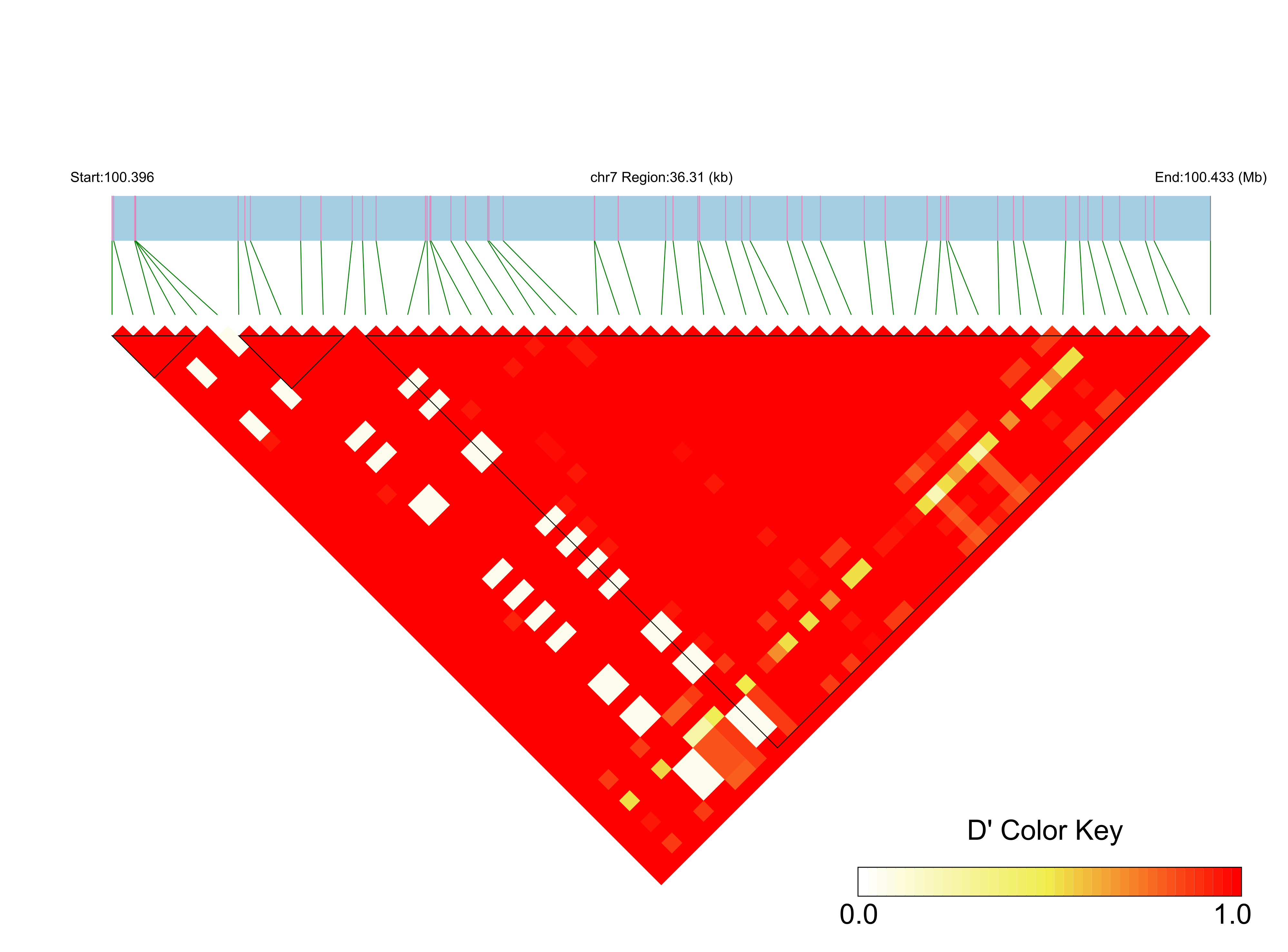 LD