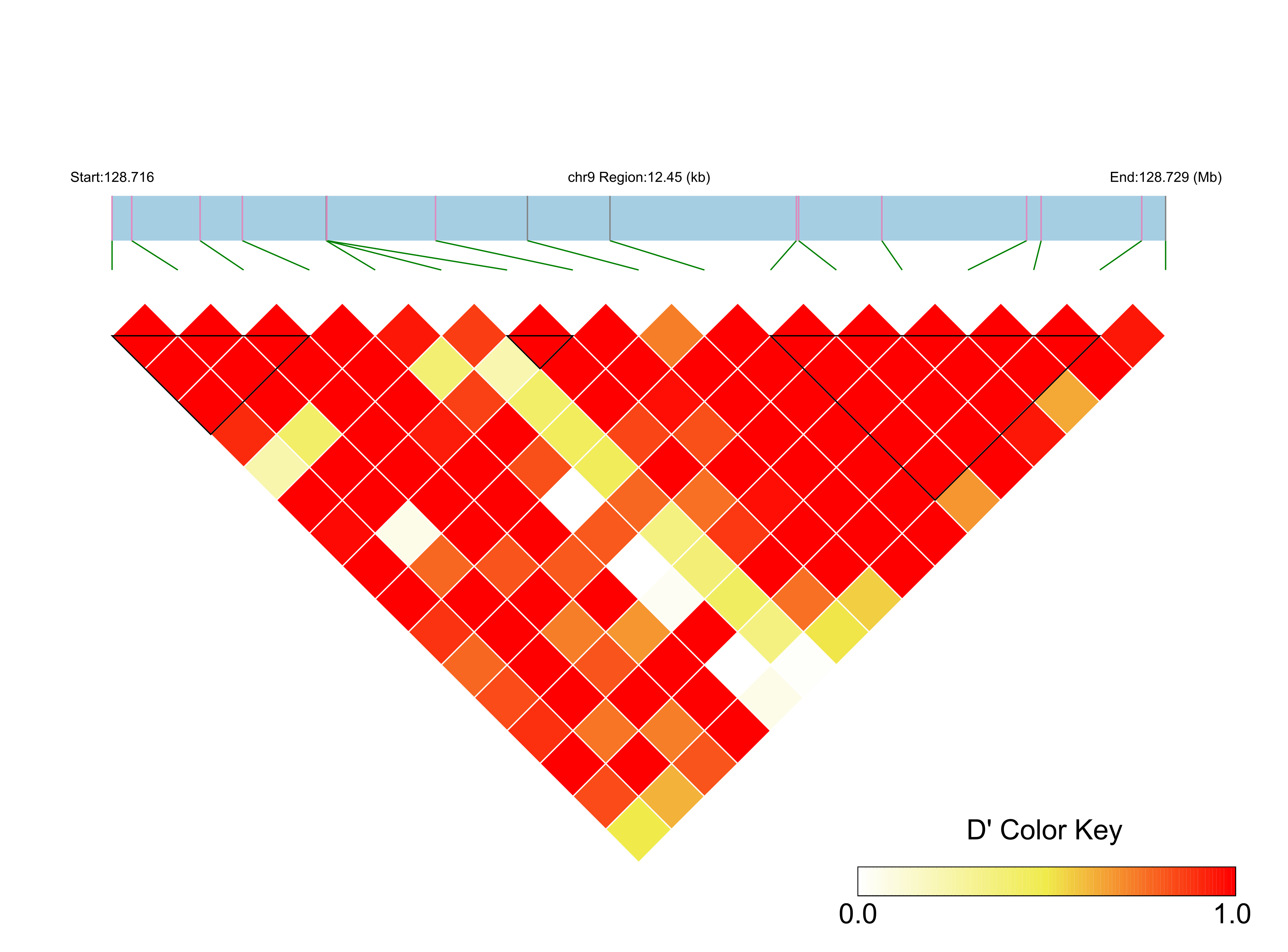 LD