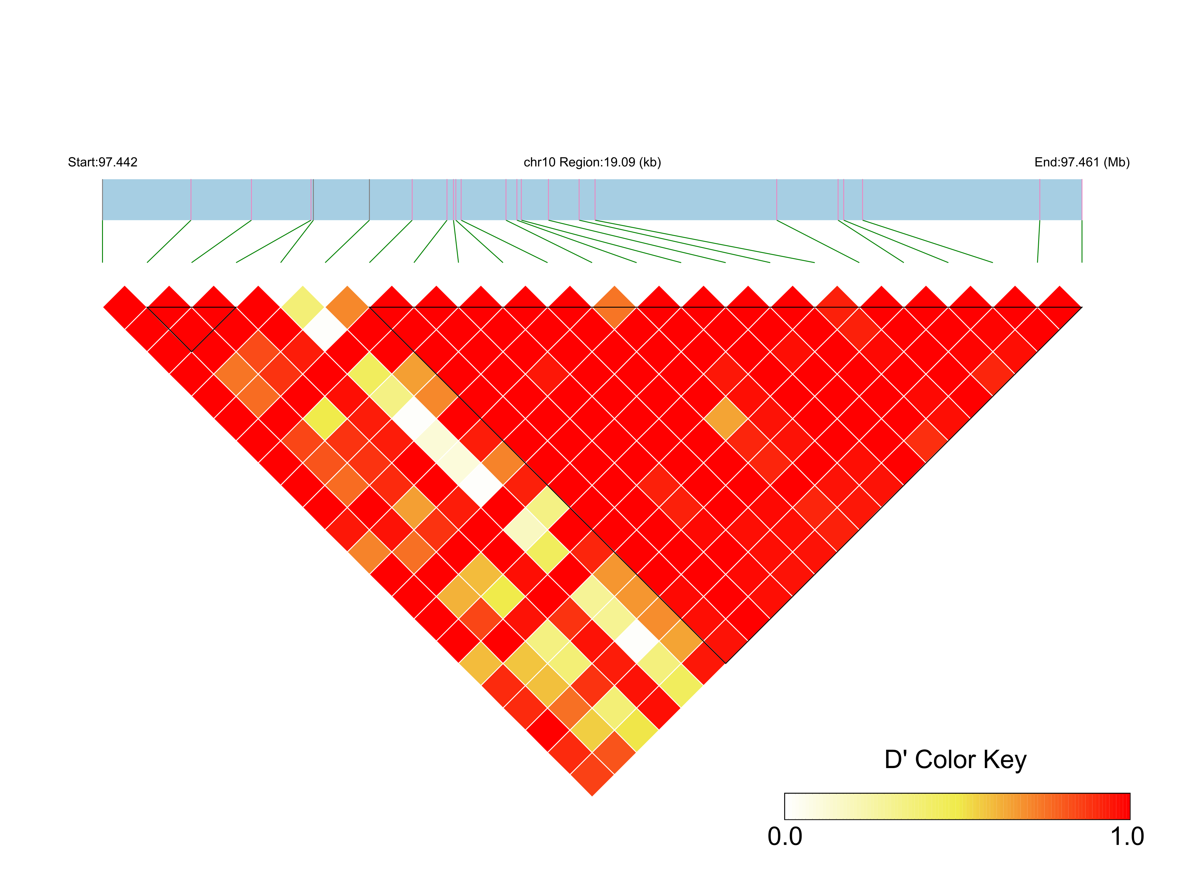 LD