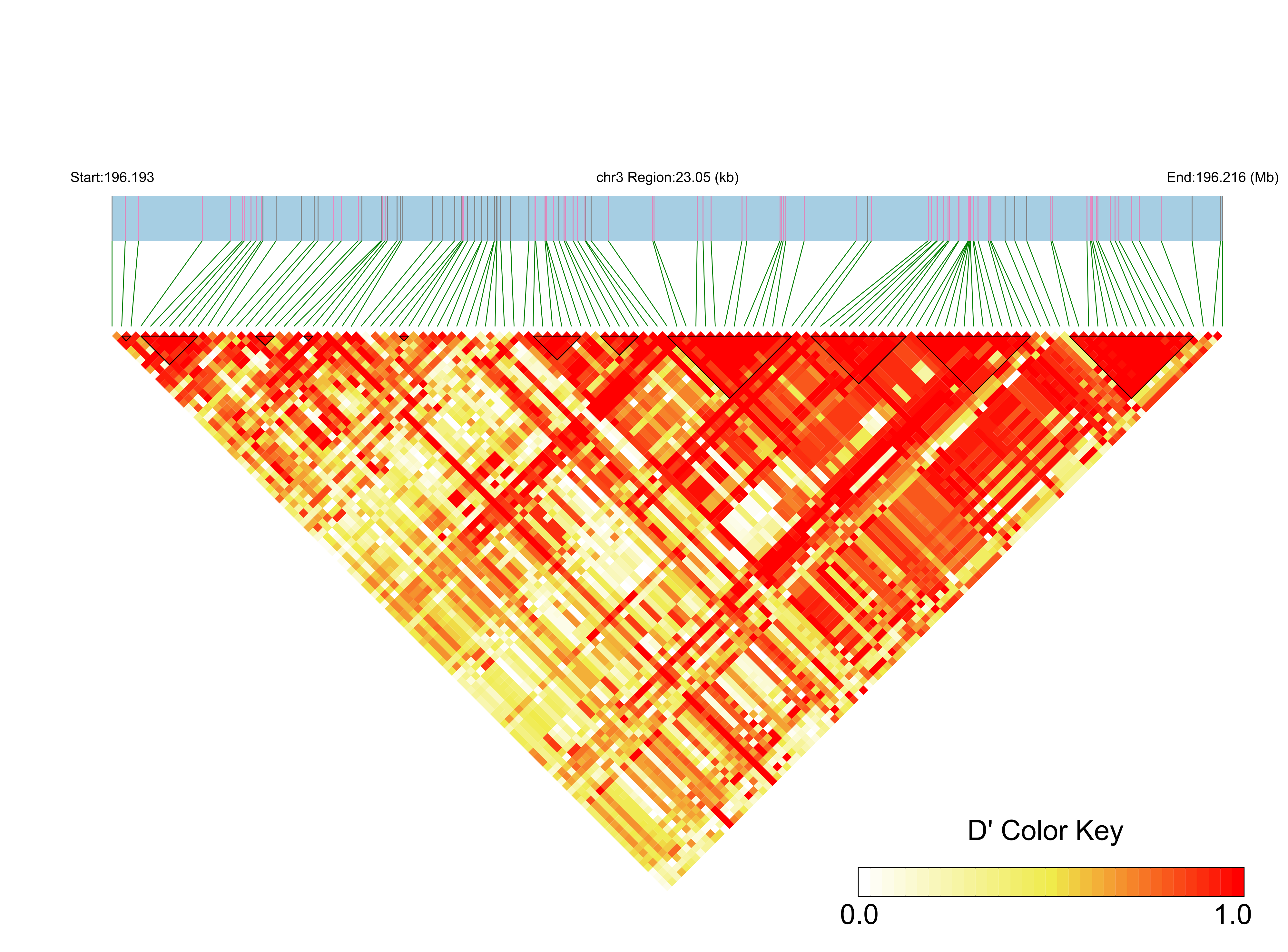 LD