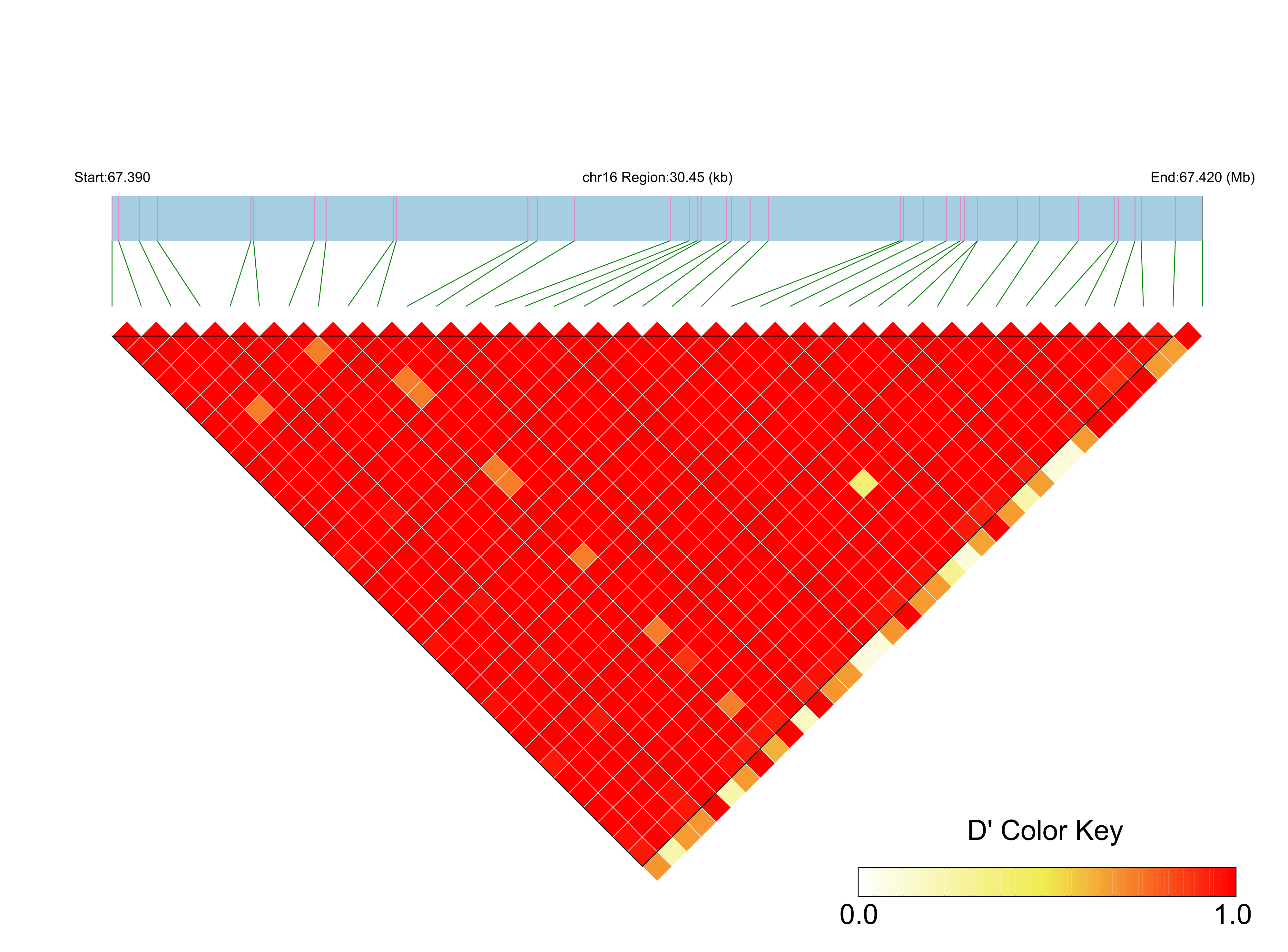 LD