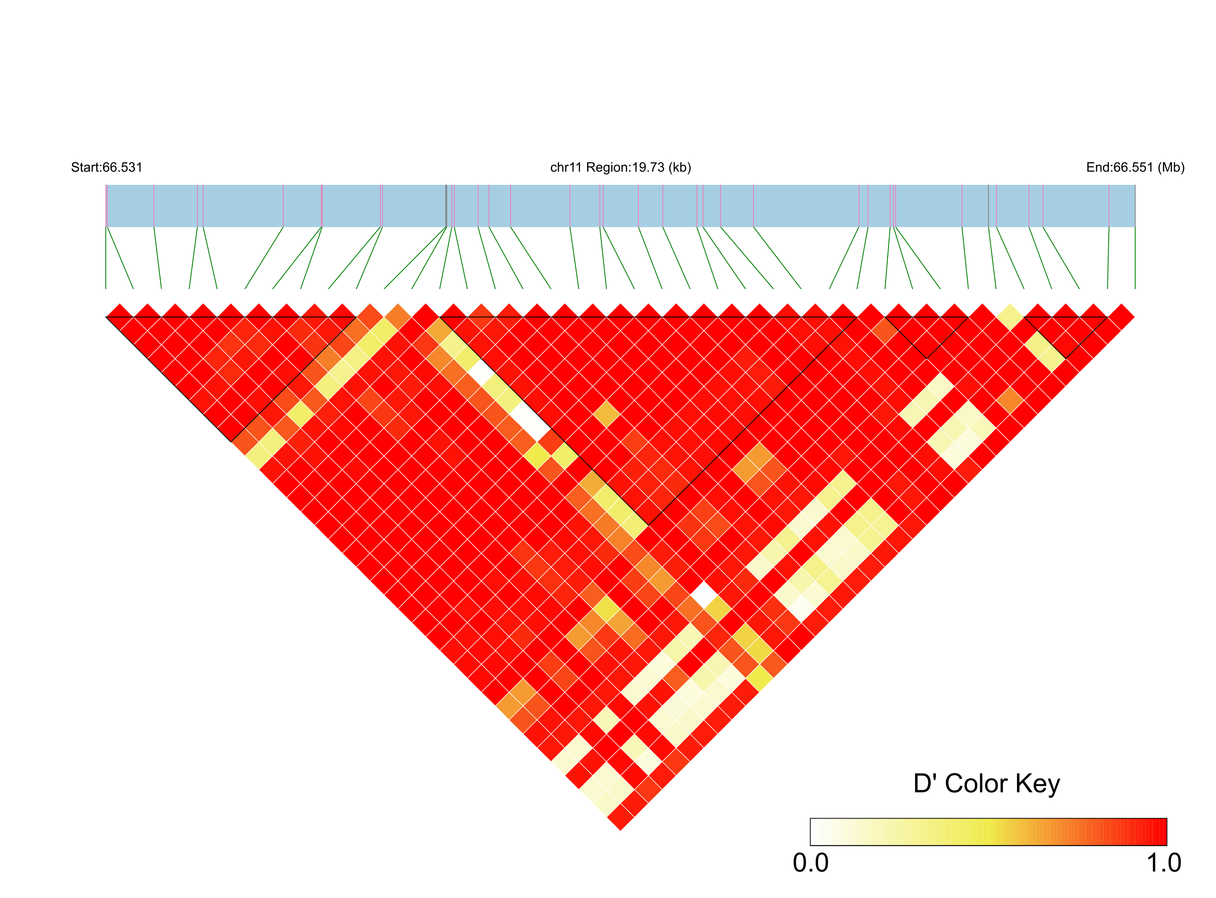 LD