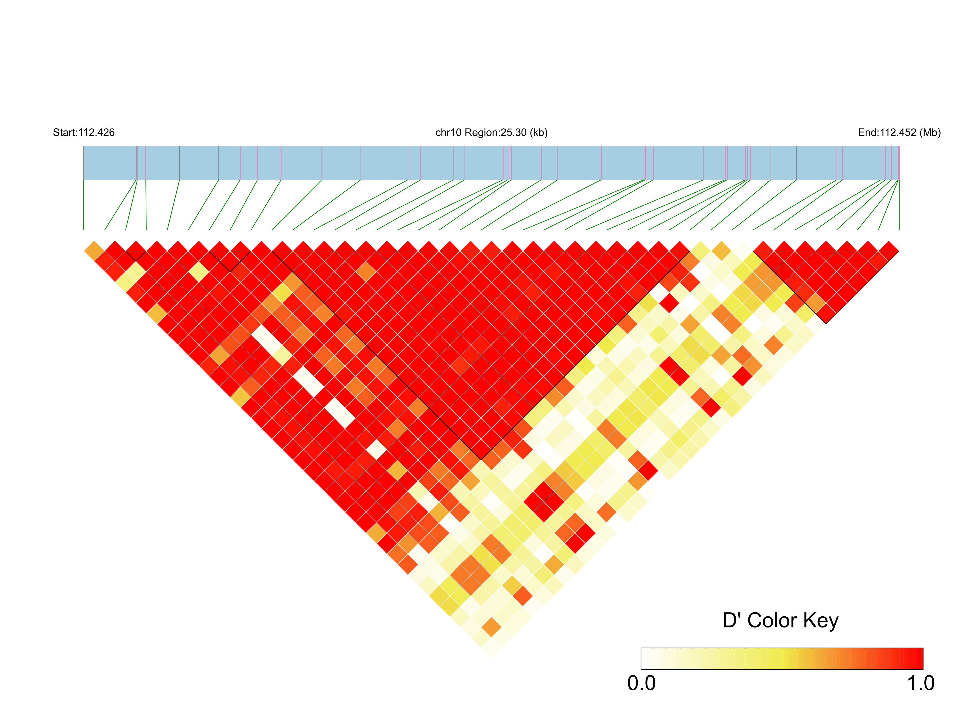 LD