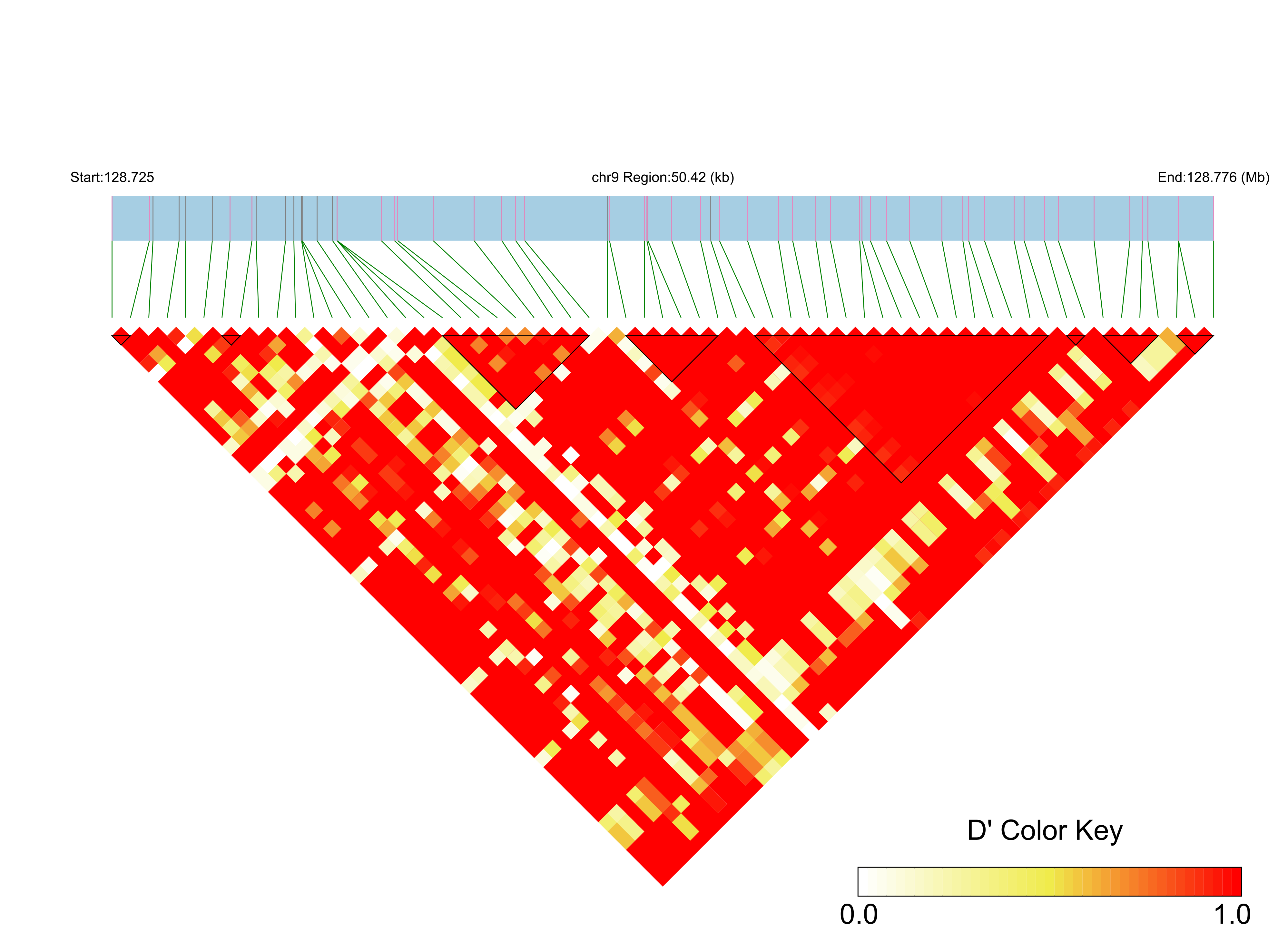 LD