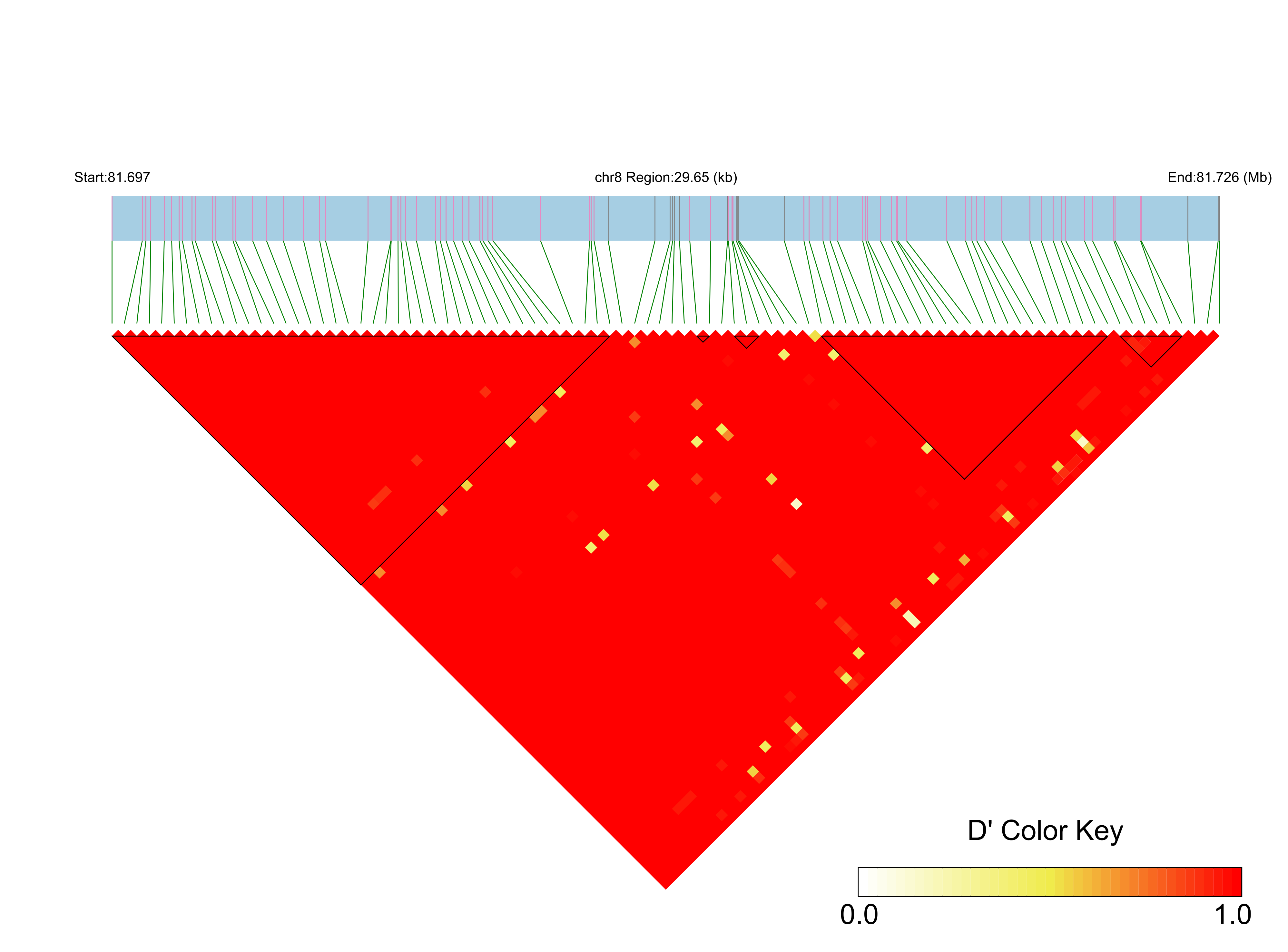 LD