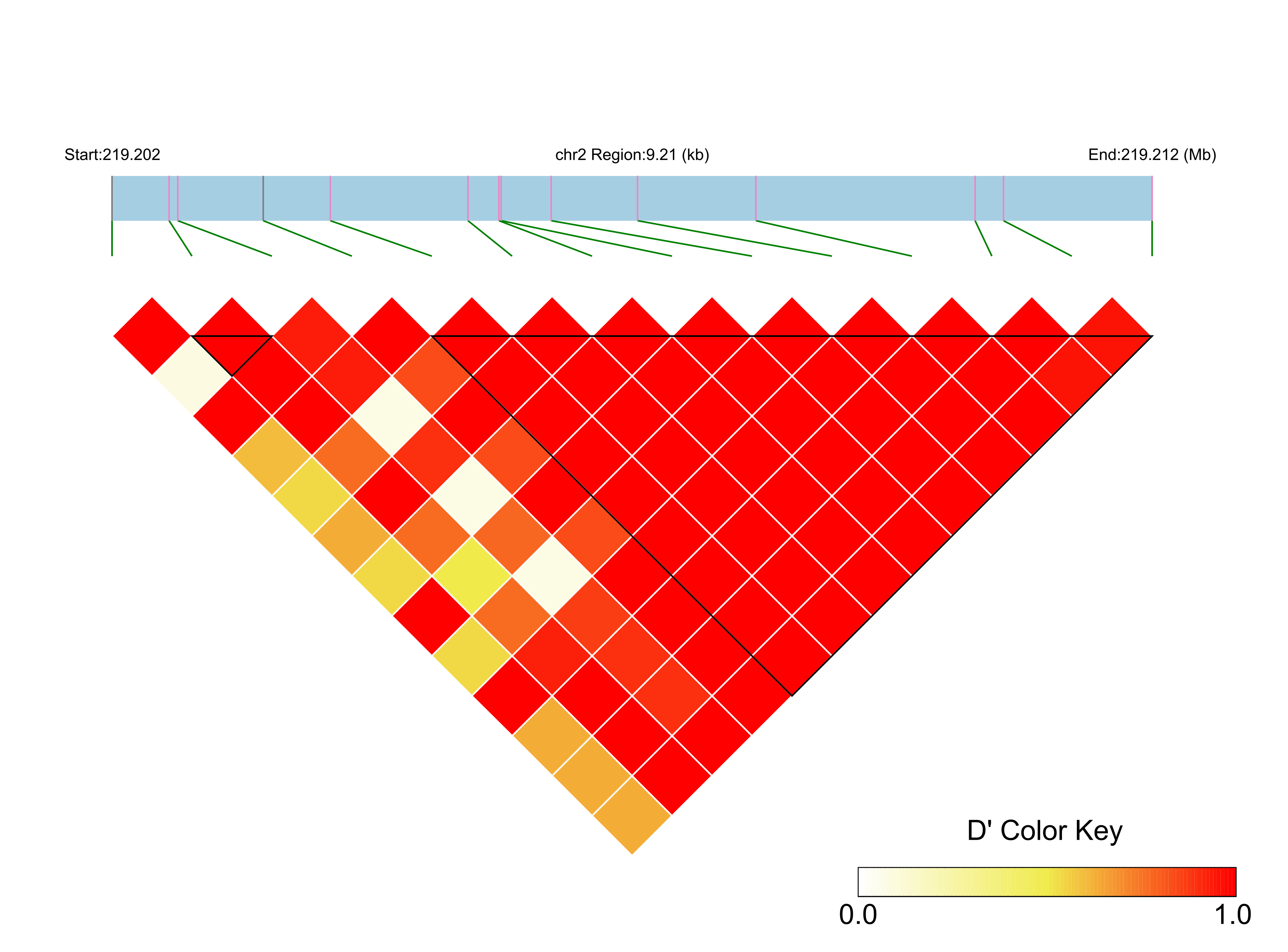 LD