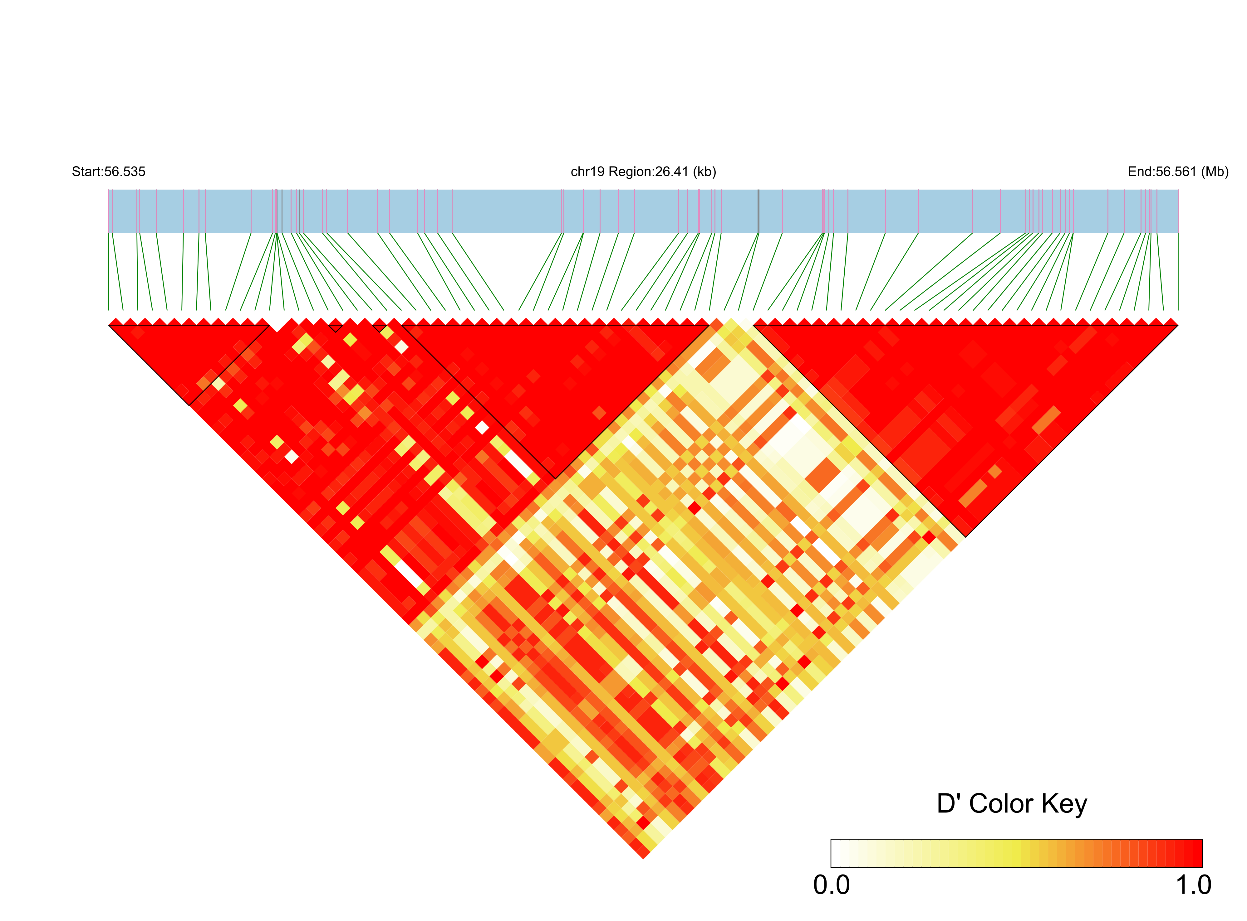 LD