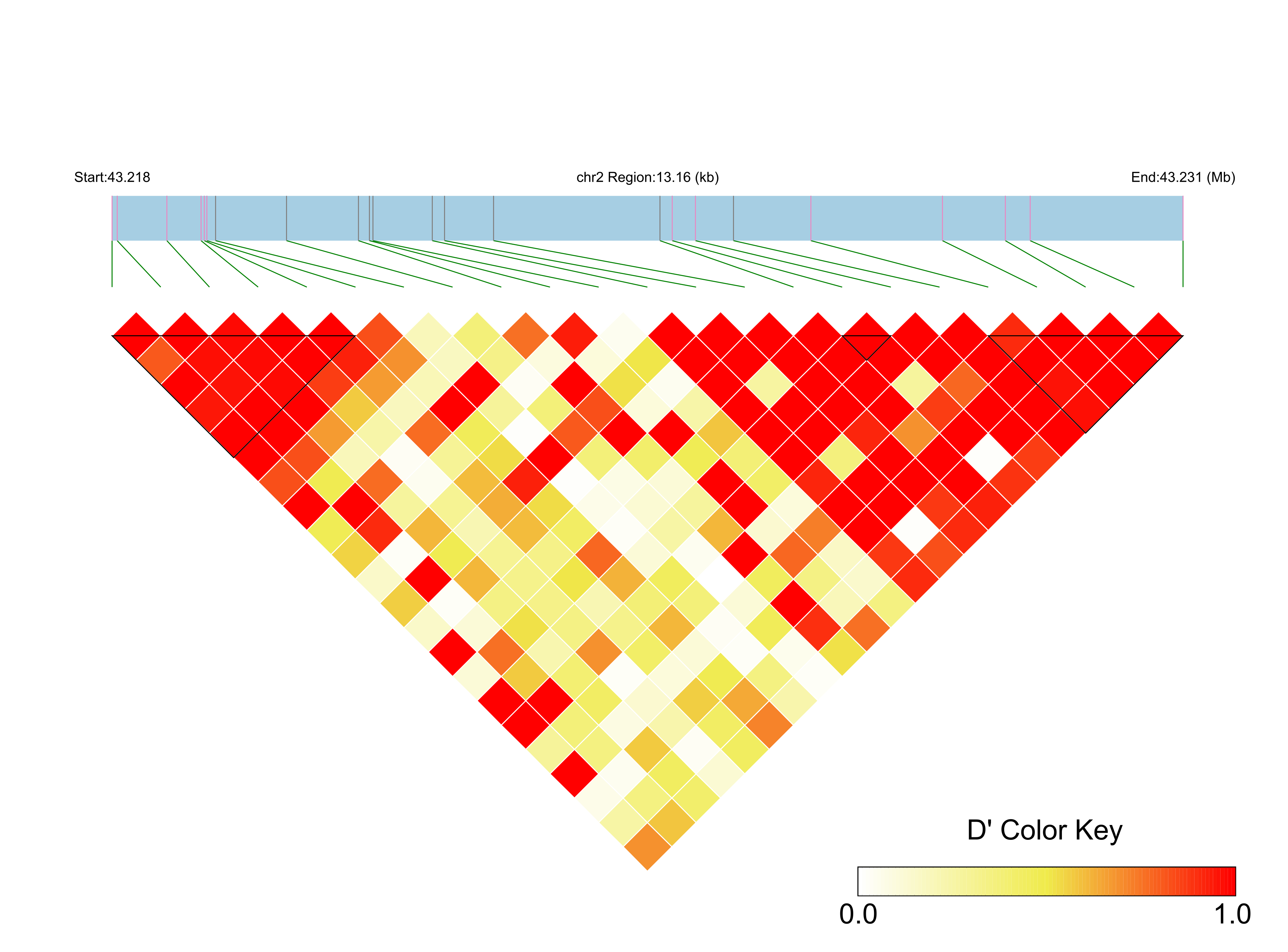 LD