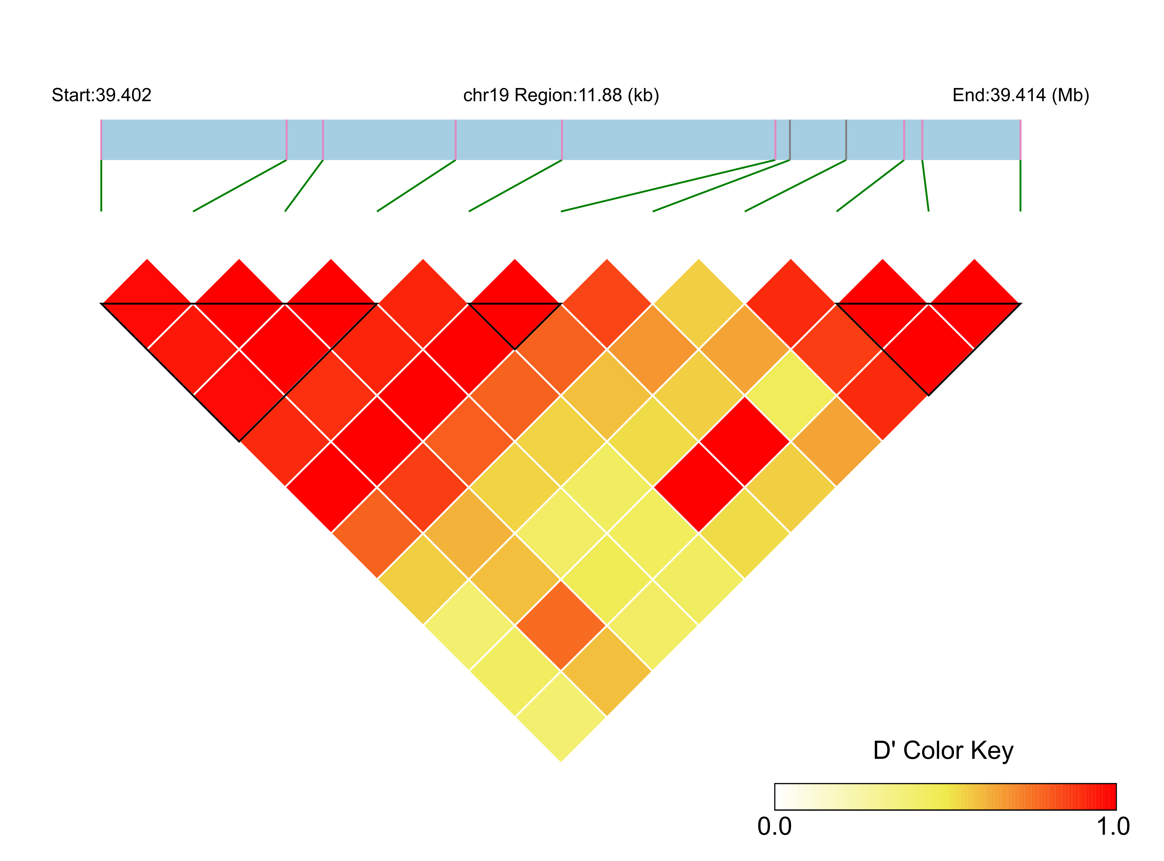 LD