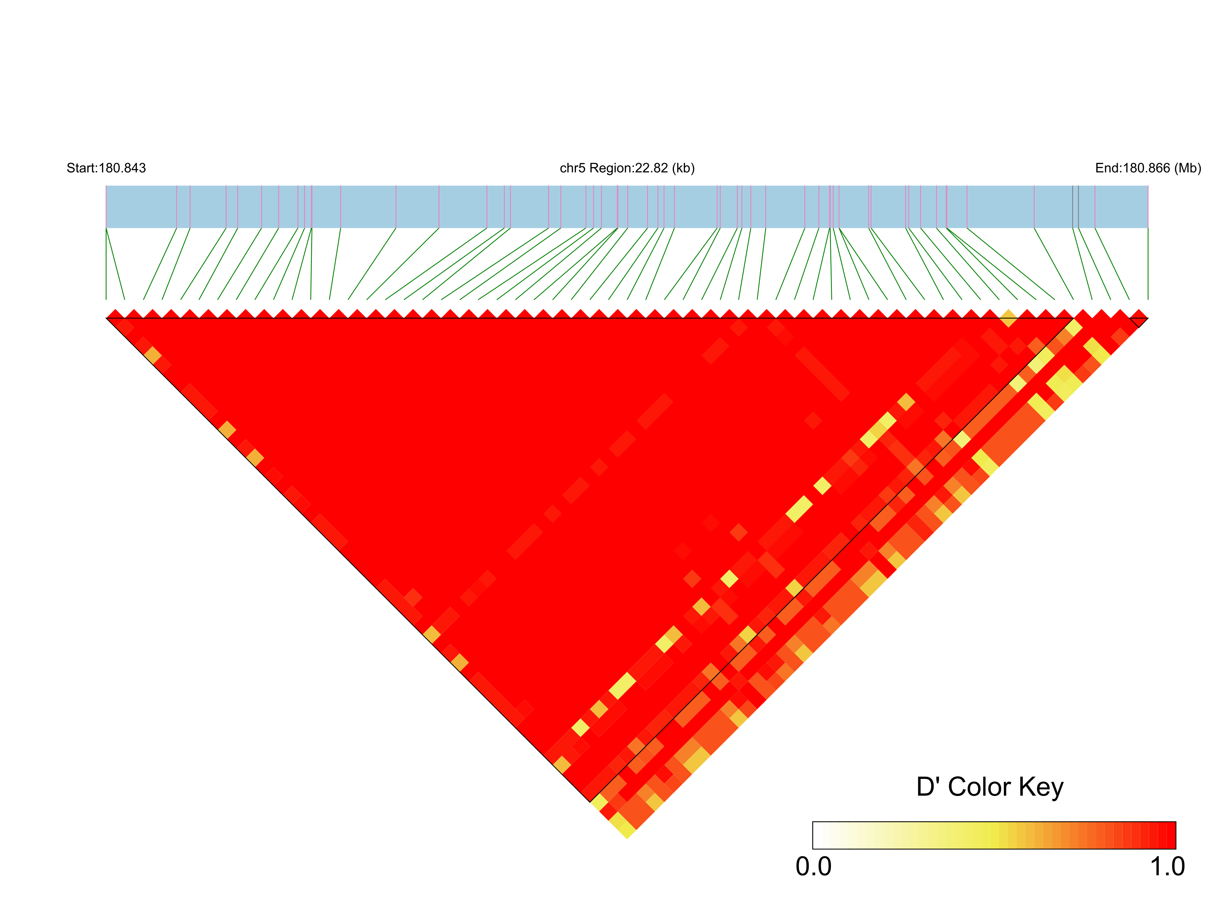 LD