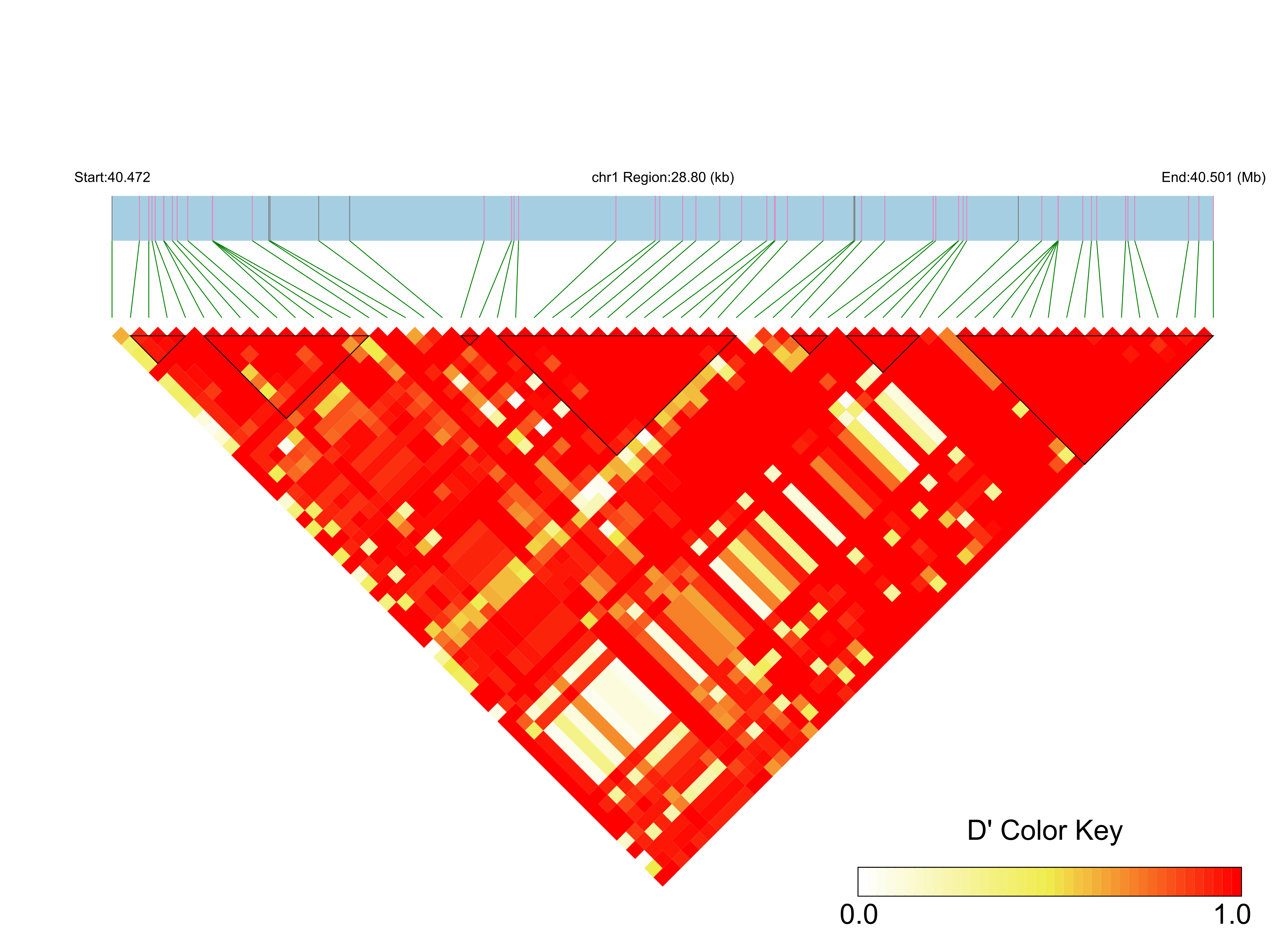LD