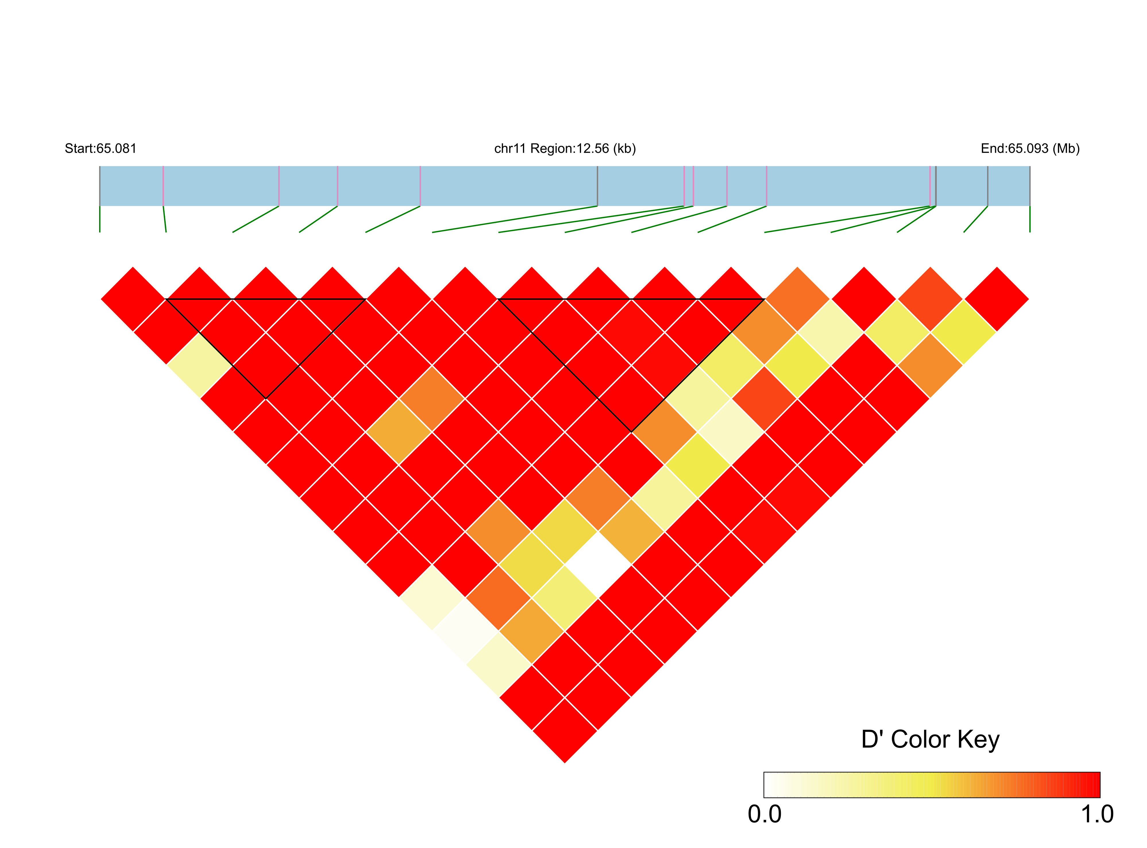 LD