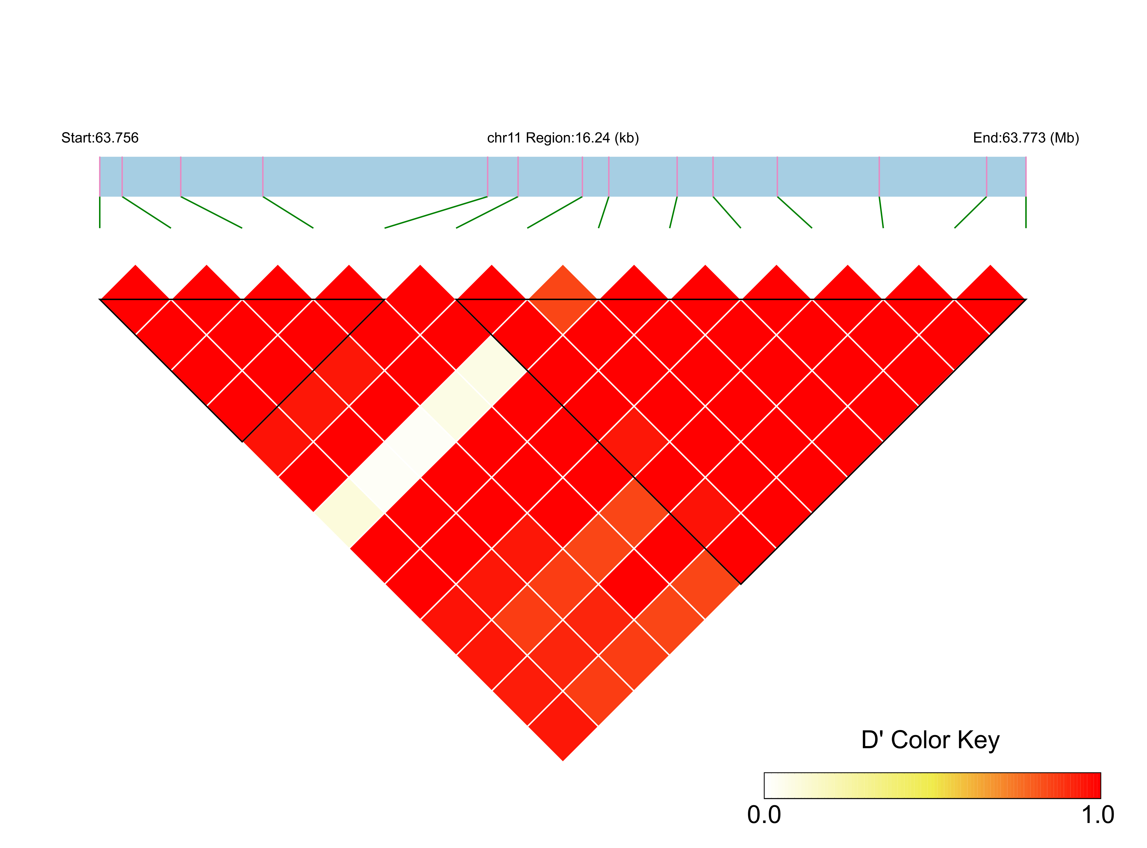 LD