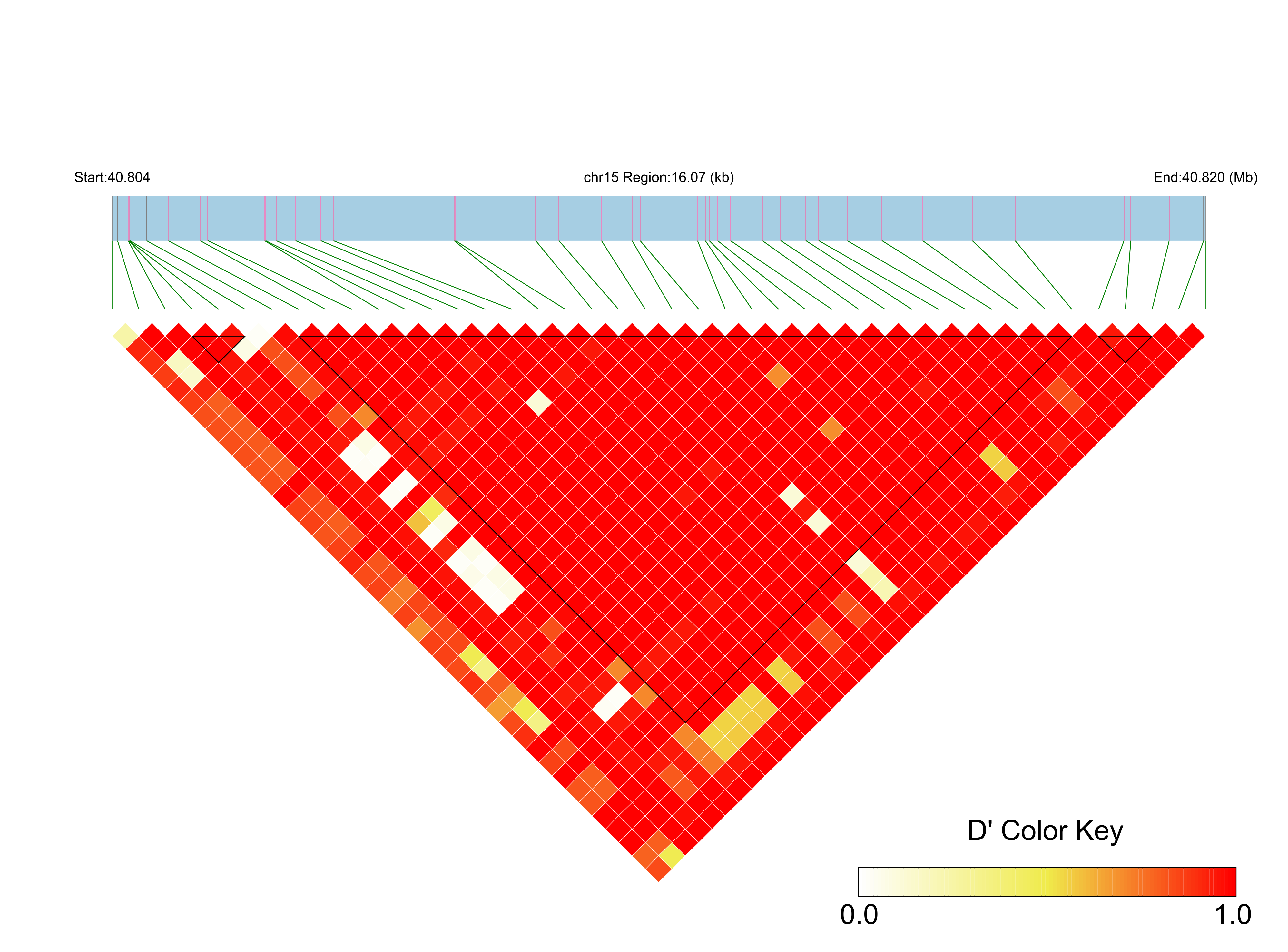 LD