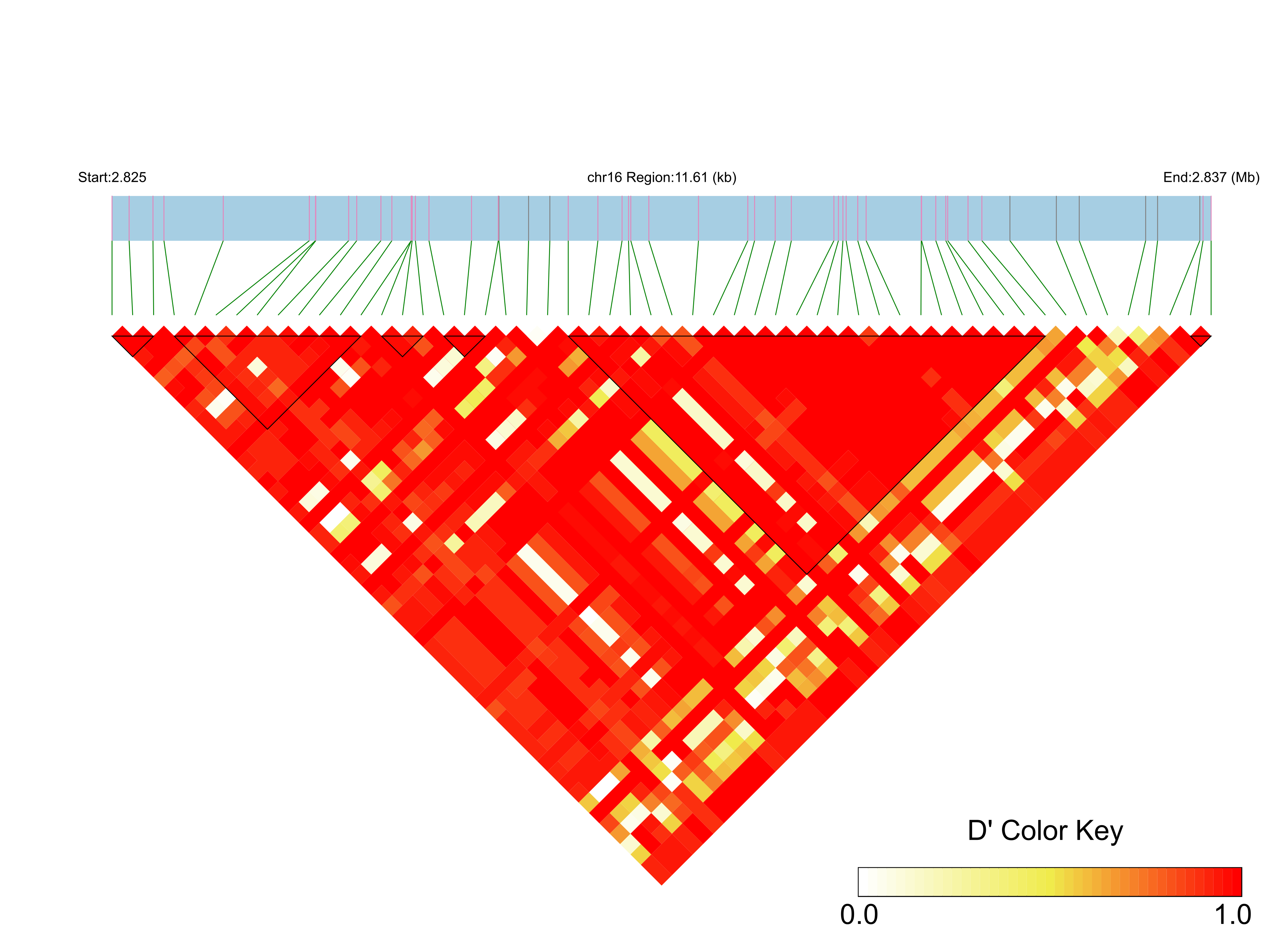 LD