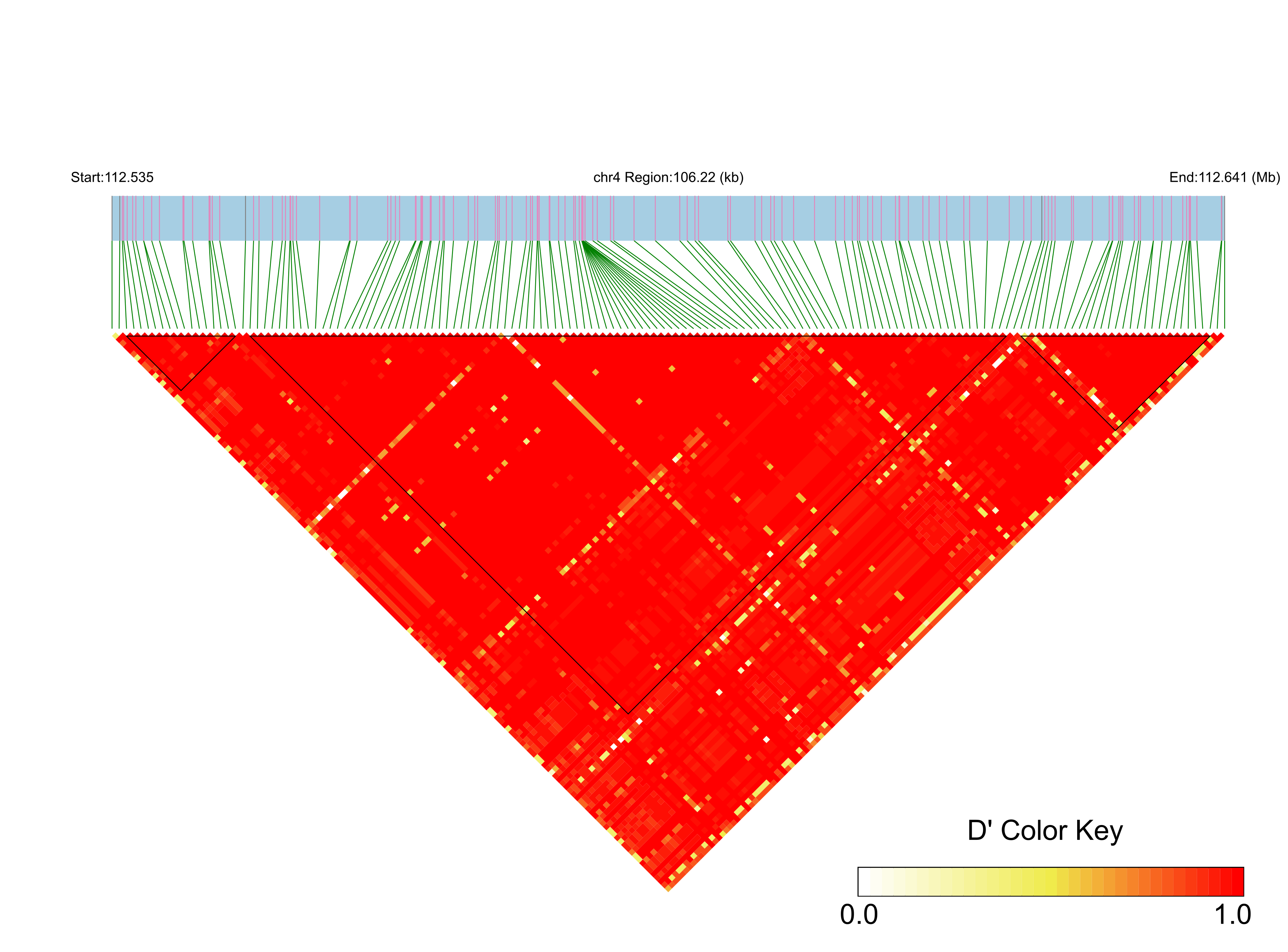 LD