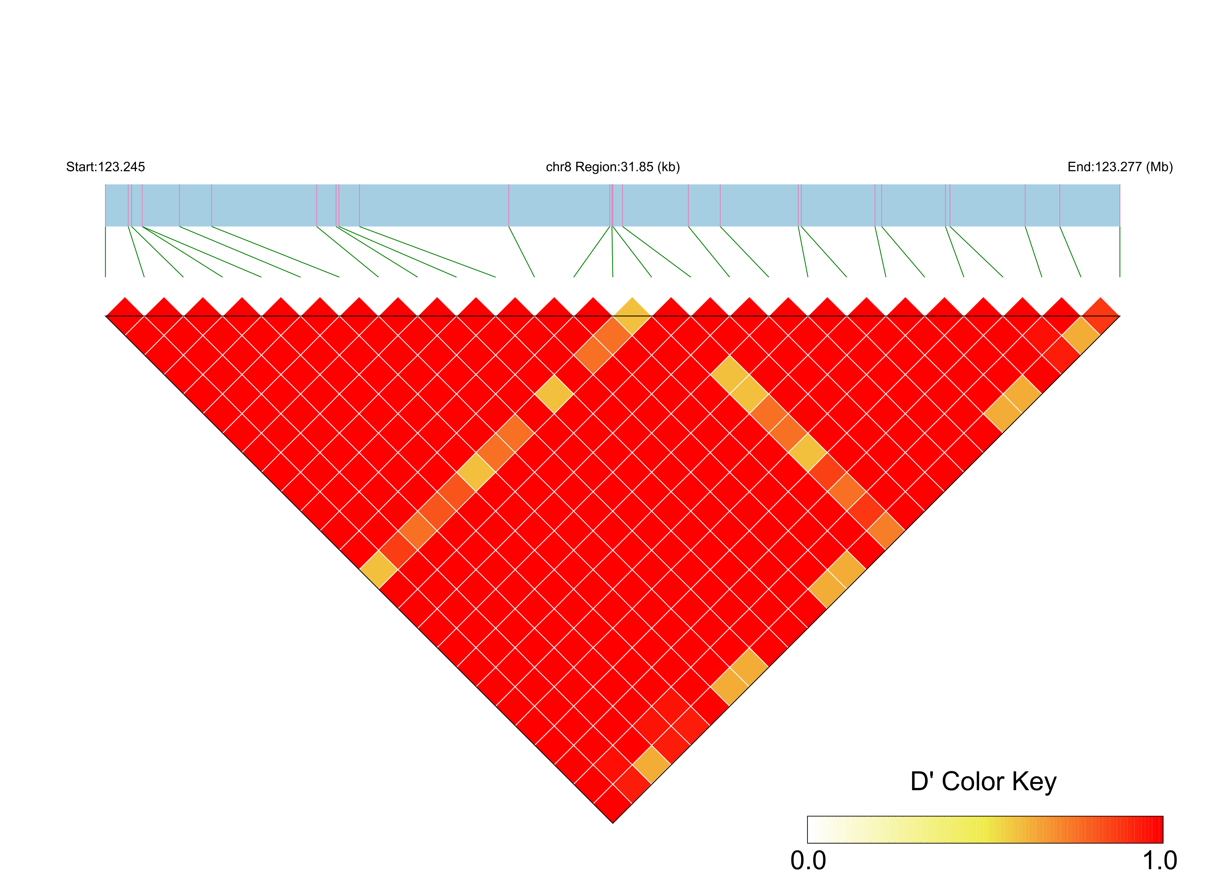 LD