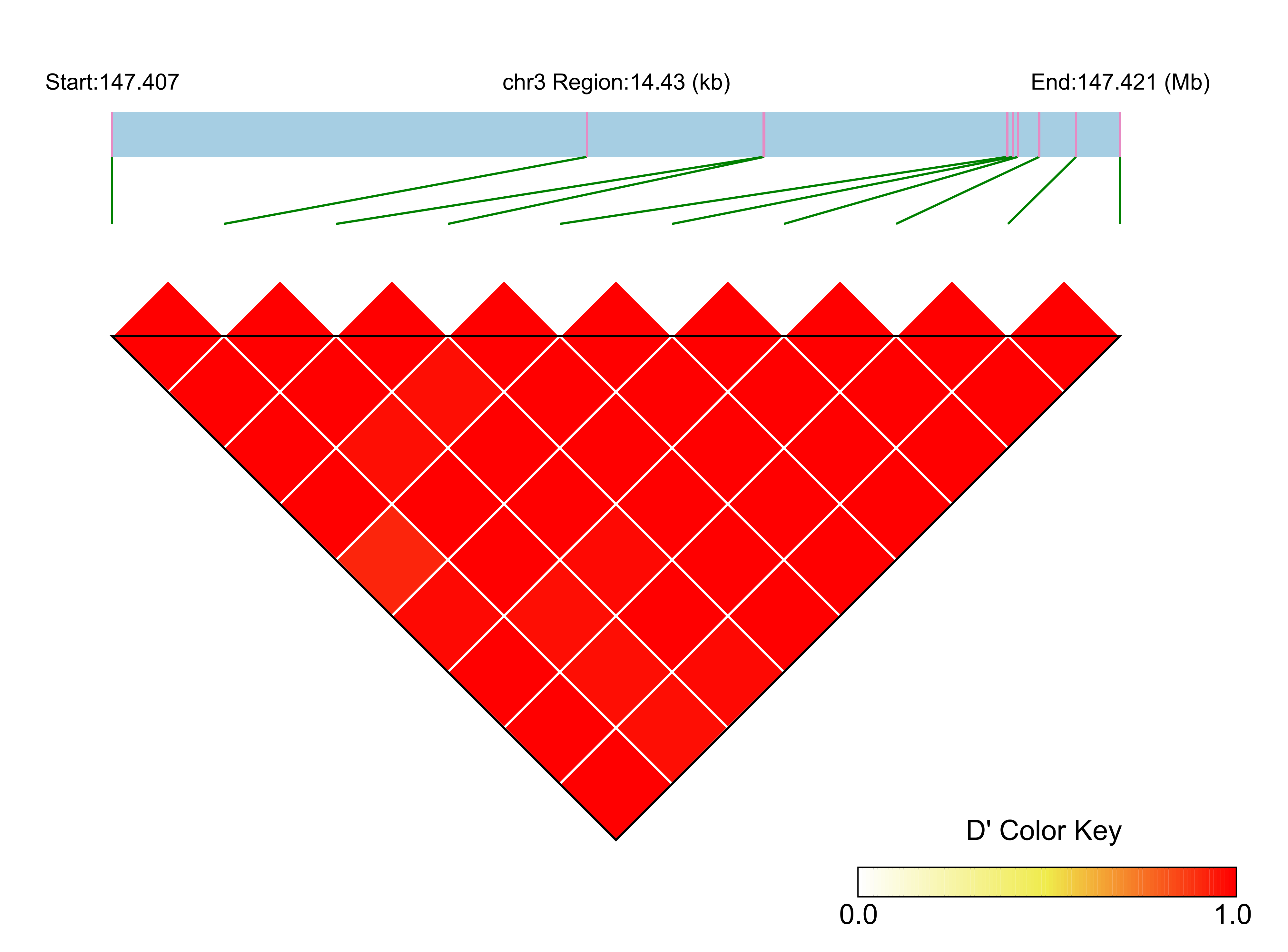 LD