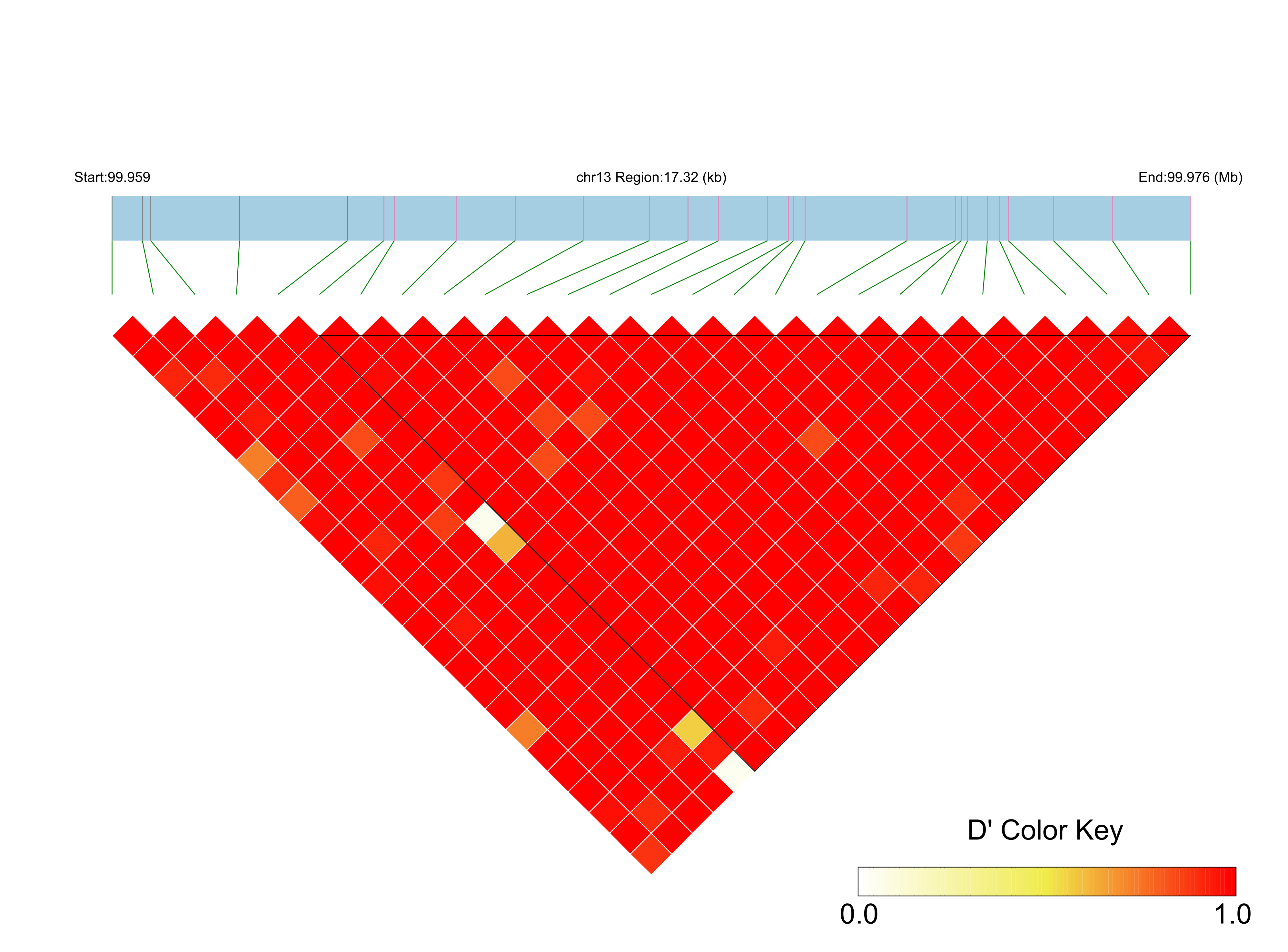 LD