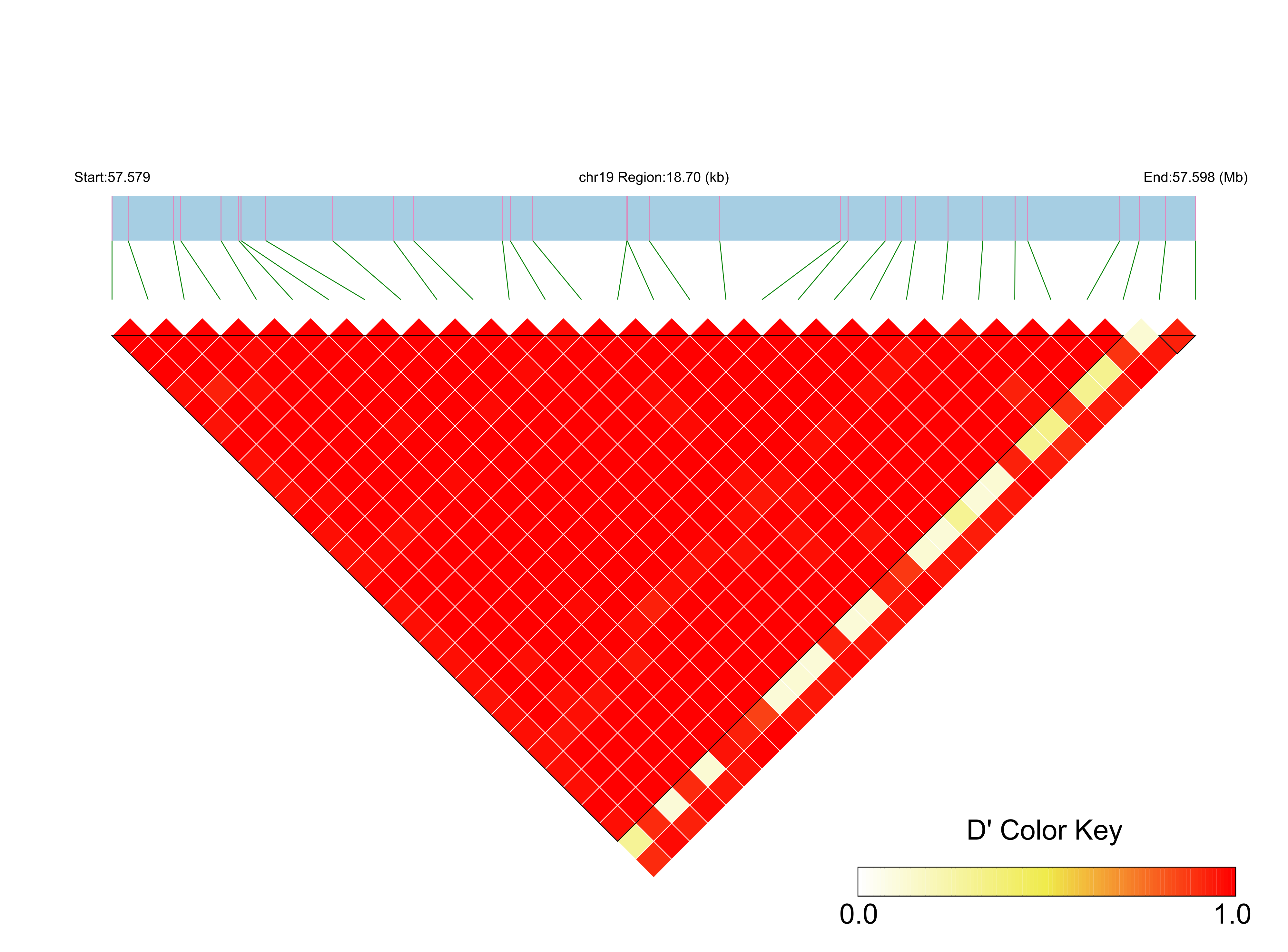 LD