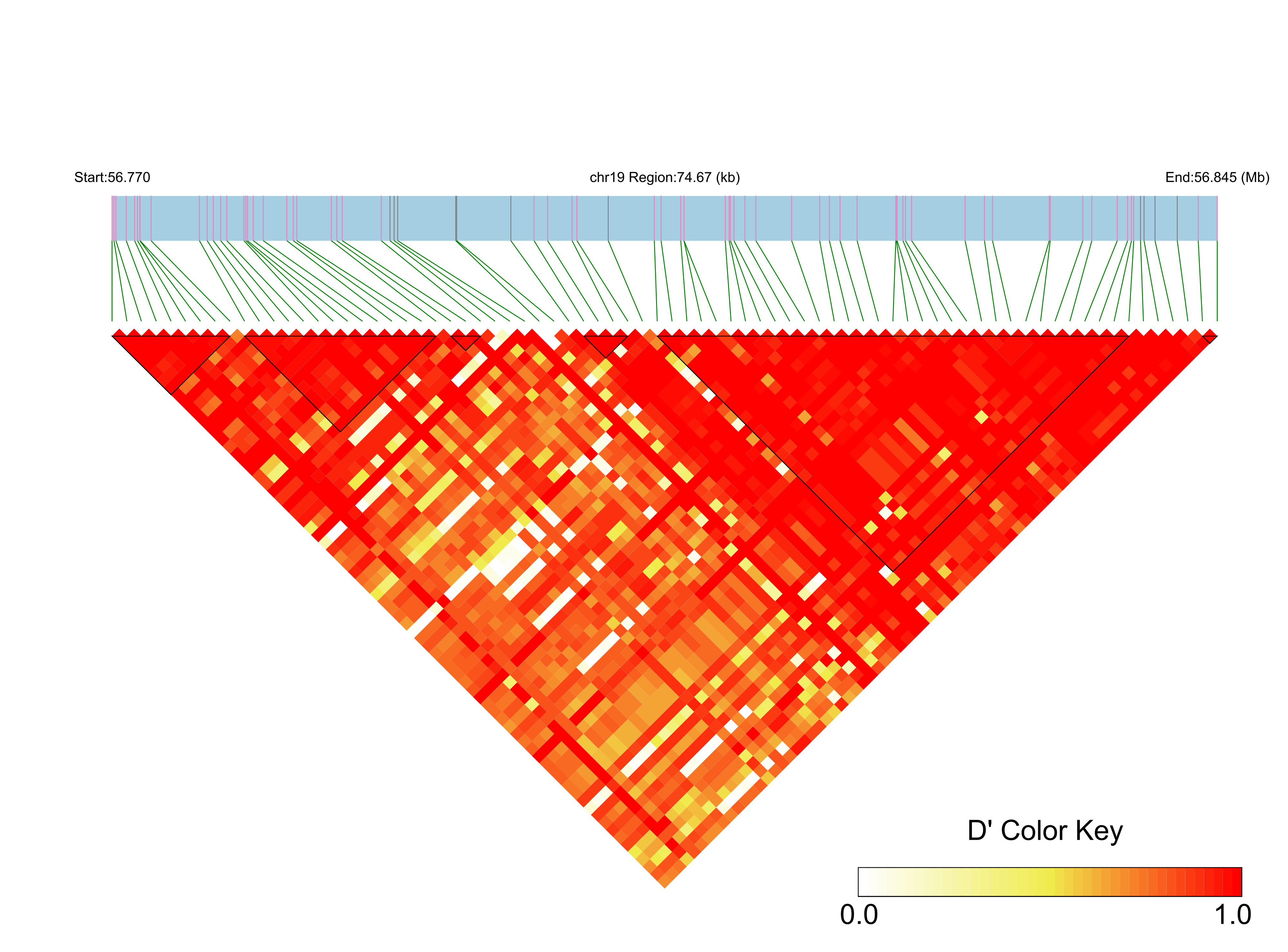 LD
